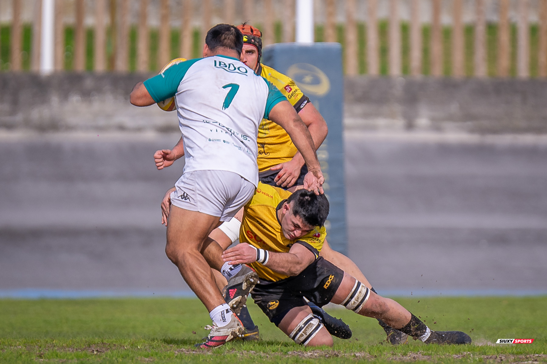  Getxo Artea Rugby Taldea - Rugby Club Valencia - Rugby - FER 2024 - DHB - Getxo RT (14) vs (16) Valencia RC (#FER24DHBGRTVRC01) Photo by: Fredy Monfoto | Siuxy Sports 2024-01-28