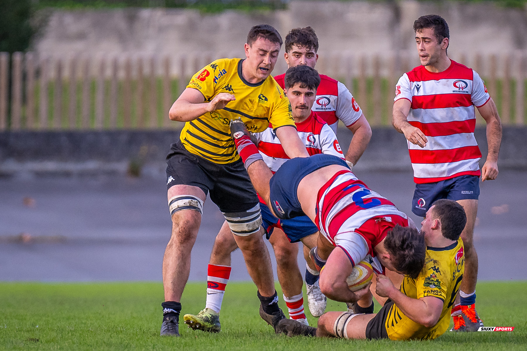  Getxo Artea Rugby Taldea - Universitario Bilbao Rugby - Rugby - FER 2024 - DHB - Getxo RT (35) vs (14) Universitario Bilbao Rugby (#FER24DHBGRTUBR11) Photo by: Fredy Monfoto | Siuxy Sports 2024-11-30