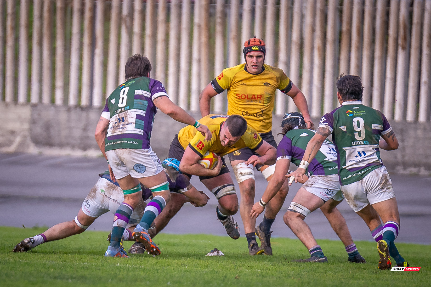 Pablo GOMEZ ROMAN -  Getxo Artea Rugby Taldea - Club Rugby Málaga - Rugby - FER 2024 - DHB - Getxo RT (52) vs (10) CR Malaga (#FER24DGBGETMAL02) Photo by: Fredy Monfoto | Siuxy Sports 2024-02-10