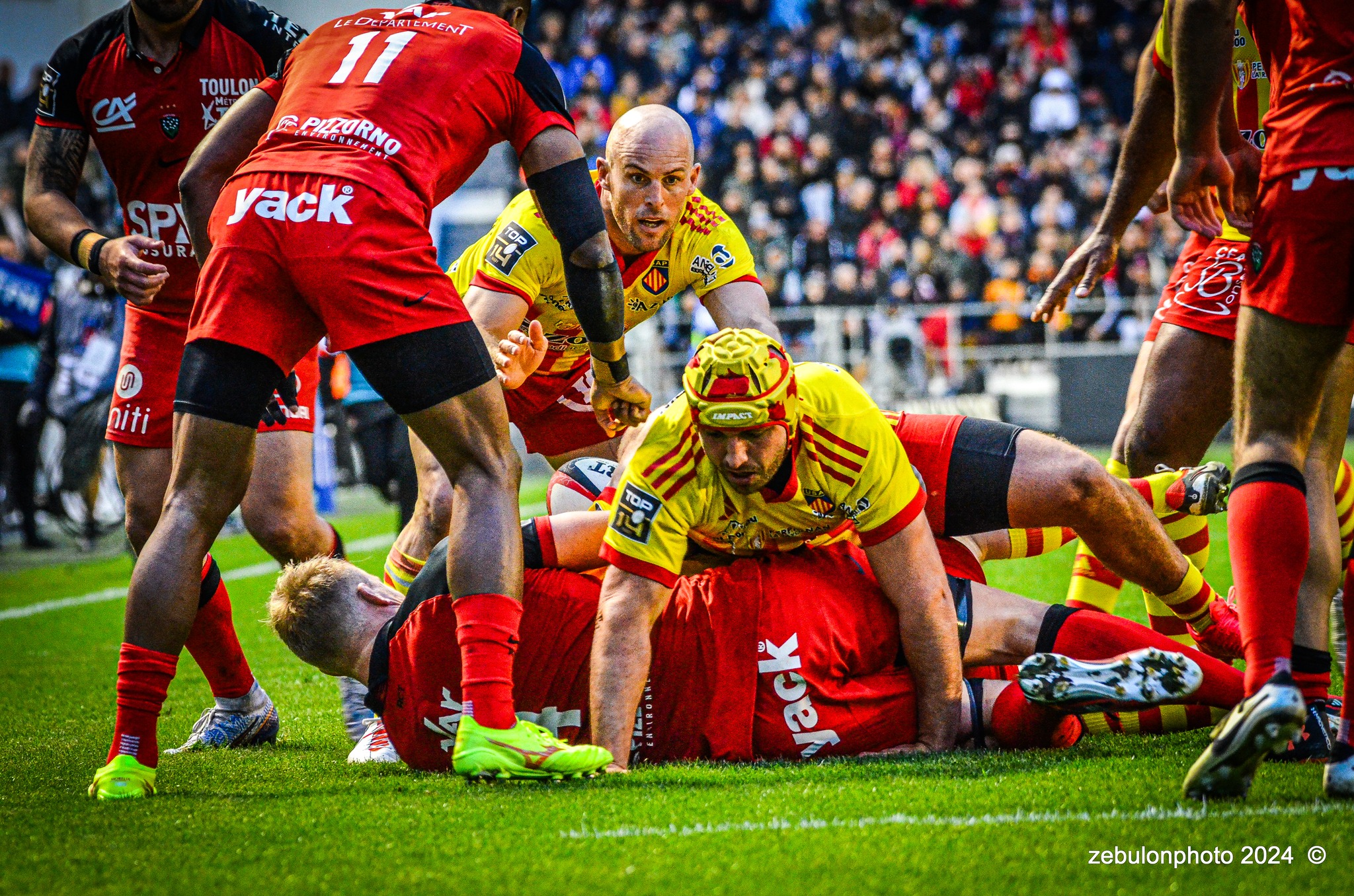 Mathieu ACÉBÈS -  RC Toulonnais - US Arlequins Perpignanais - Rugby - TOP 14 - Toulon (44) vs (22) Perpignan (#TOP1424RCTUSAP03) Photo by: Photo Zebulon | Siuxy Sports 2024-03-02