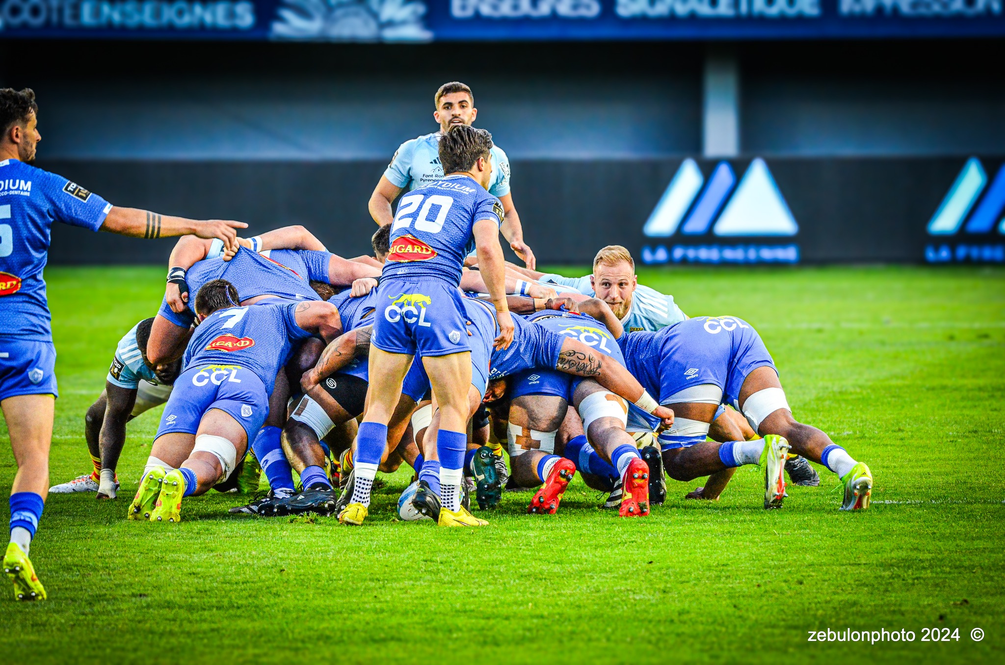  US Arlequins Perpignanais - Castres Olympique - Rugby - FFR 2024 - Top14 - USAP (43) vs (12) Castres  (#FFR24TOPPERCAS03) Photo by: Photo Zebulon | Siuxy Sports 2024-03-30
