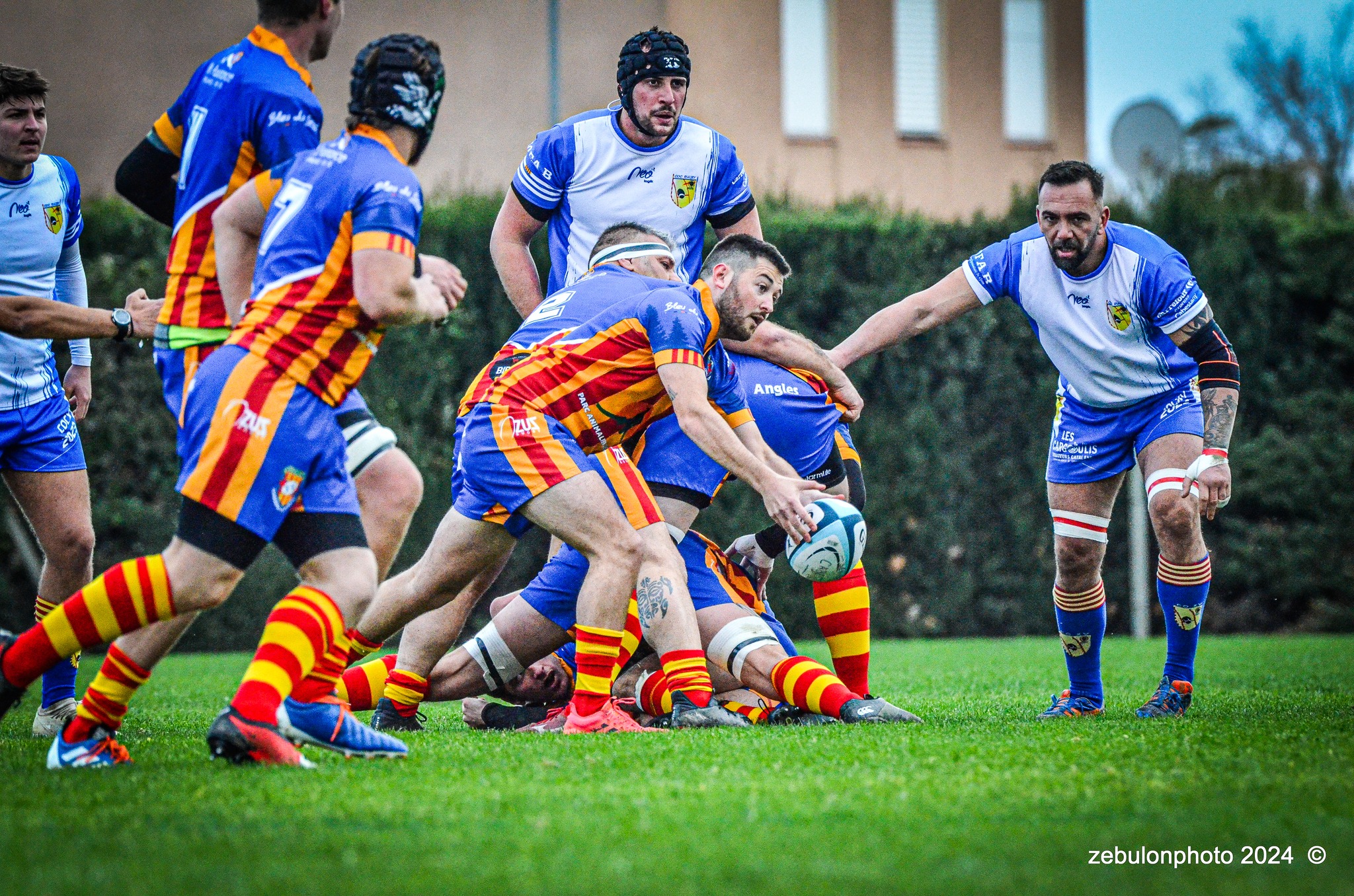  Cabestany Olympique XV - Rugby Athlétique Cerdagne Capcir - Rugby - Ligue Occitanie - Cabestany vs Cerdagne Capcir (#LO24CABRACC01) Photo by: Photo Zebulon | Siuxy Sports 2024-01-27