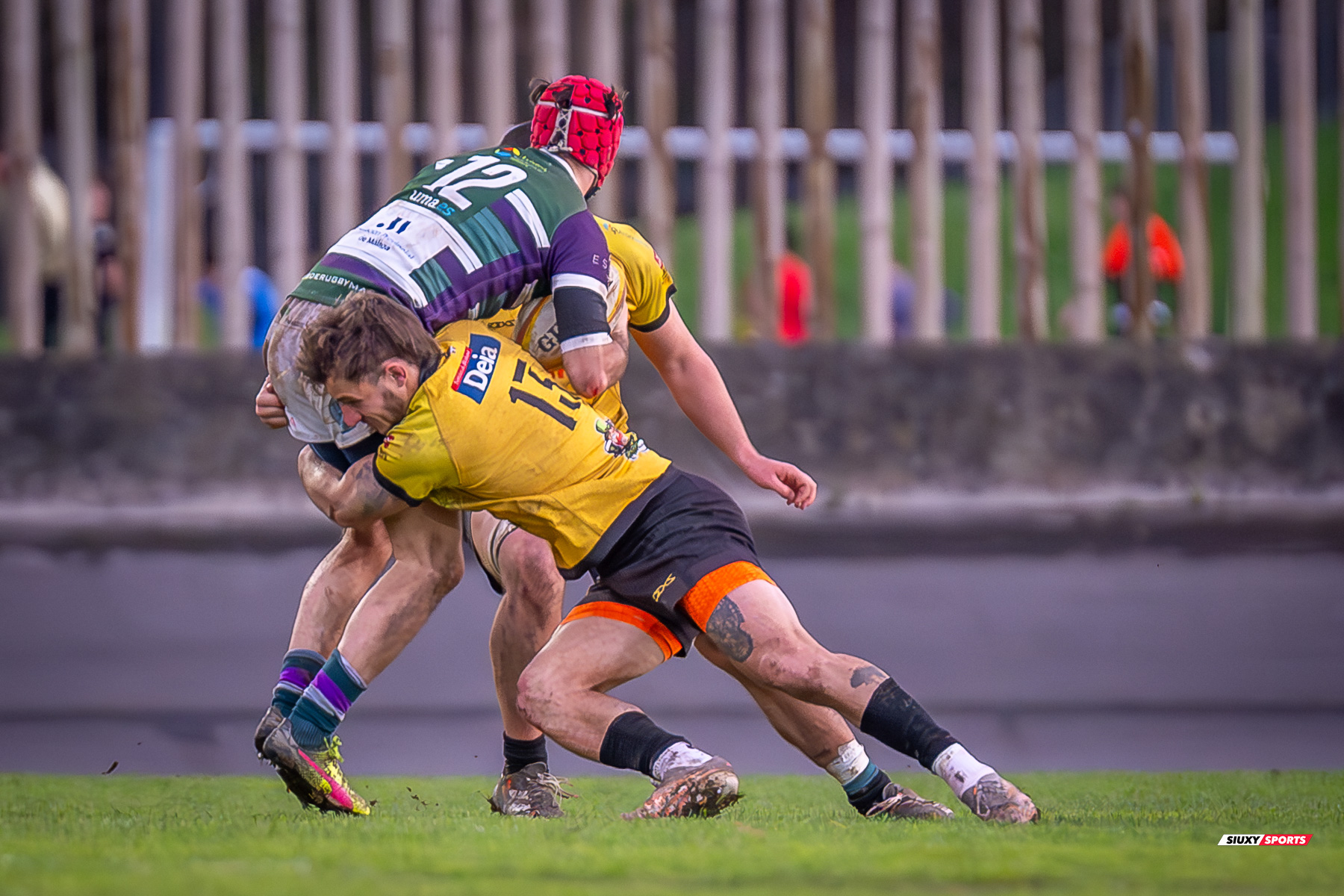 Getxo Artea Rugby Taldea - Club Rugby Málaga - Rugby - FER 2024 - DHB - Getxo RT (52) vs (10) CR Malaga (#FER24DGBGETMAL02) Photo by: Fredy Monfoto | Siuxy Sports 2024-02-10