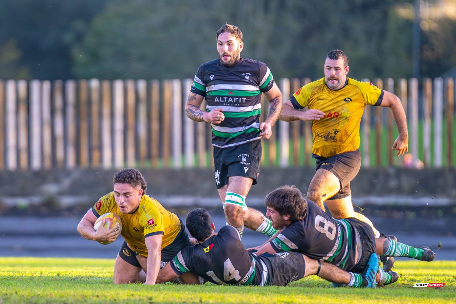 Euken DE IRALA EGUREN - Gonzalo DE LA FUENTE QUINTANA -  Getxo Artea Rugby Taldea - La Única Rugby Taldea - Rugby - FER 2024 - DHB - Getxo RT (91) vs (0) La Unica RT (#FER24DHBGRTLUR11) Photo by: Fredy Monfoto | Siuxy Sports 2023-11-04