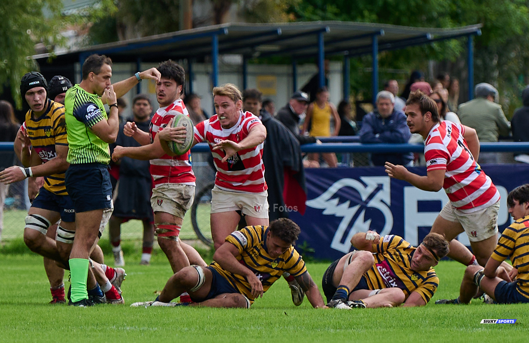  Club Regatas de Bella Vista - Asociación Alumni - Rugby - URBA 2024 - Top 12 Intermedia - Regatas BV (19) vs (26) Asociacion Alumni (#URBA24T12ALURBV14) Photo by: Ximena Rebecchi | Siuxy Sports 2024-04-27