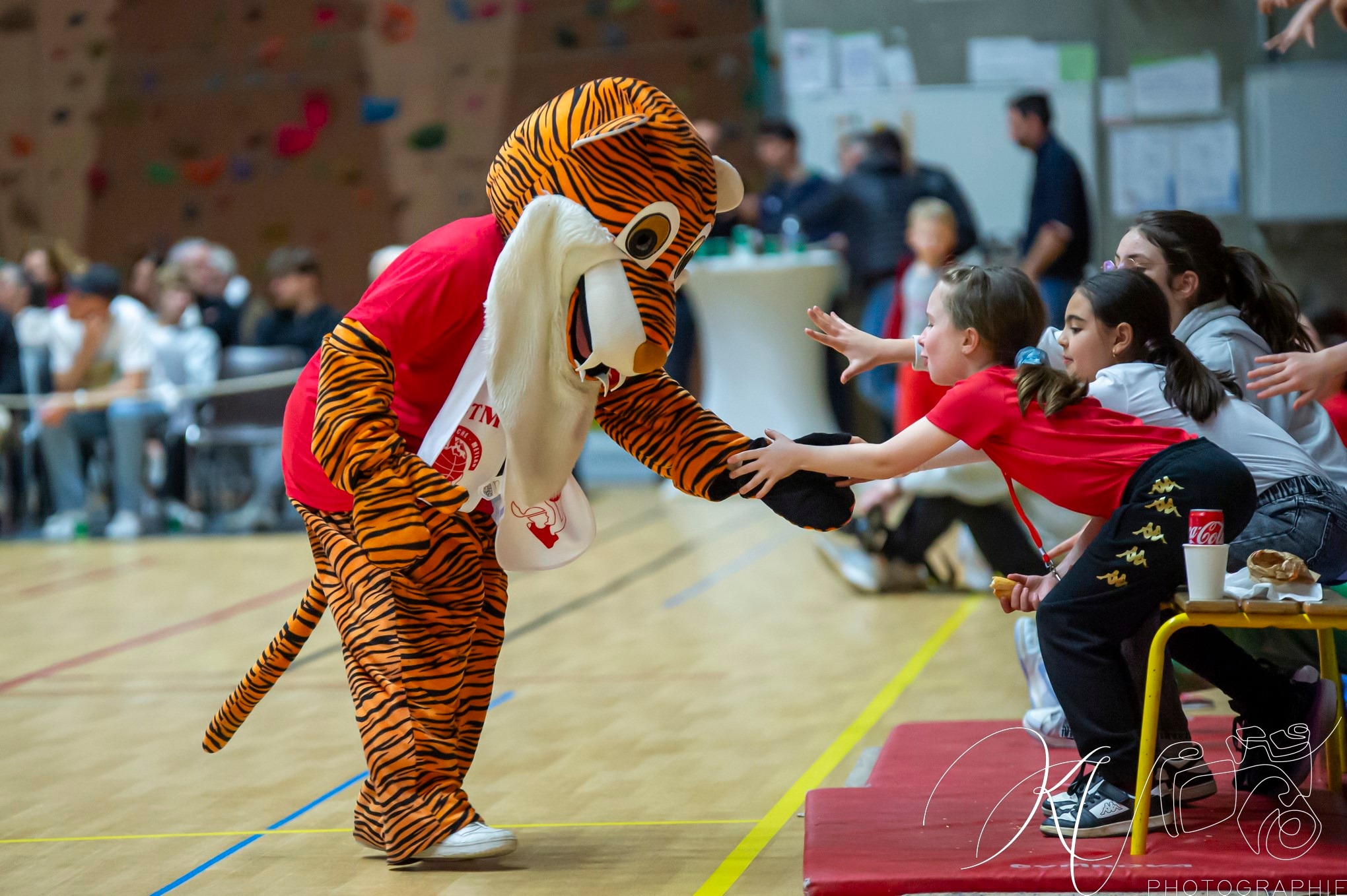  BC Tronche Meylan - Toulouse Métropole Basket - Basketball - FFB 2024 - LF2 - BCTM(81) vs (70) Toulouse MB  (#FFBB24LF2TMTO03) Photo by: Karine Valentin | Siuxy Sports 2024-03-23