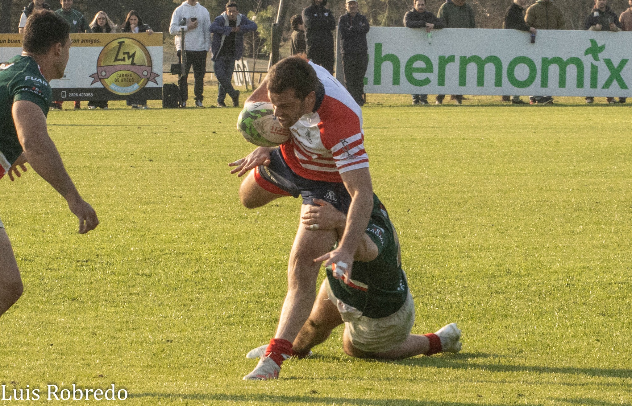 Areco Rugby Club - Sociedad Italiana de Tiro al Segno - Rugby - URBA 2024 - 1C - Areco (14) vs (59) SITAS (#URBA241CARESIT08) Photo by: Luis Robredo | Siuxy Sports 2024-08-17