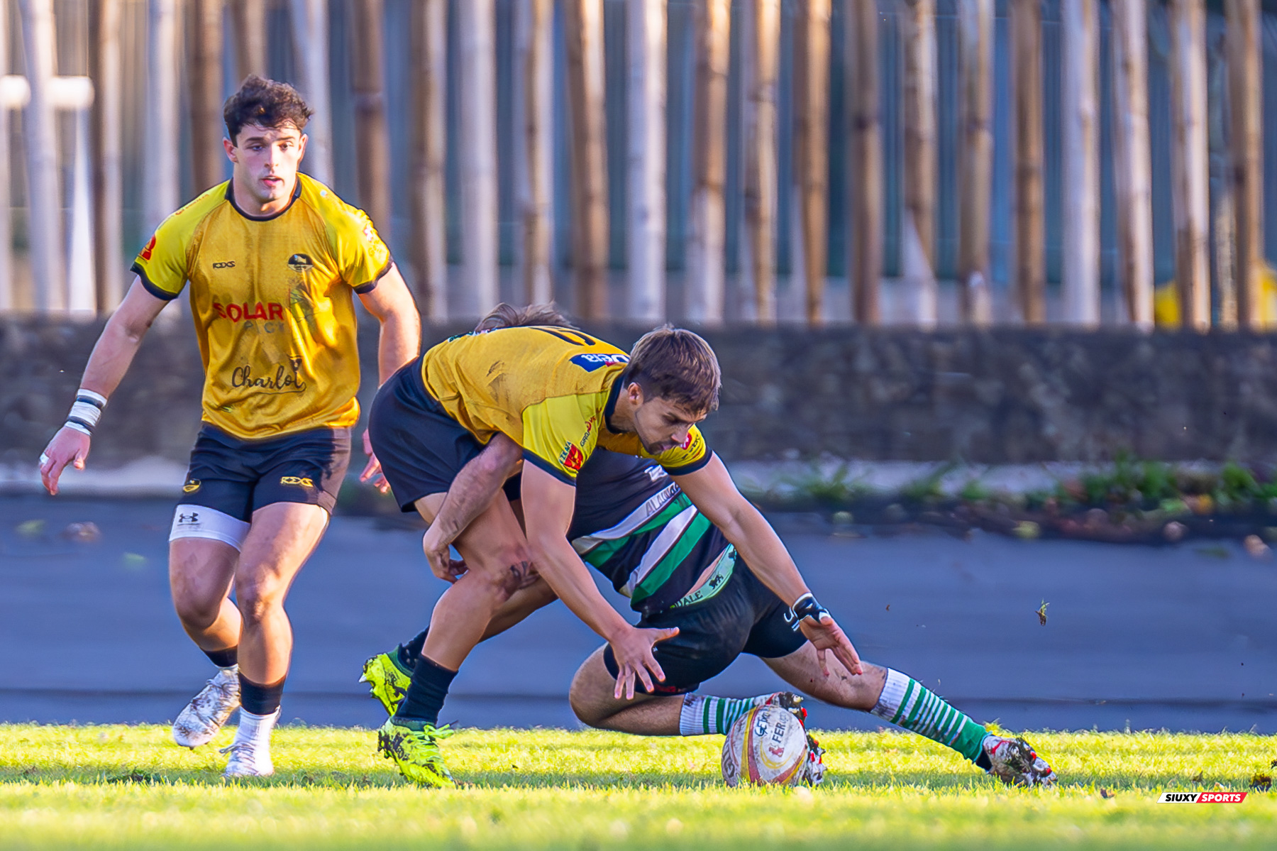Peio CIRARDA ALBERDI -  Getxo Artea Rugby Taldea - La Única Rugby Taldea - Rugby - FER 2024 - DHB - Getxo RT (91) vs (0) La Unica RT (#FER24DHBGRTLUR11) Photo by: Fredy Monfoto | Siuxy Sports 2023-11-04