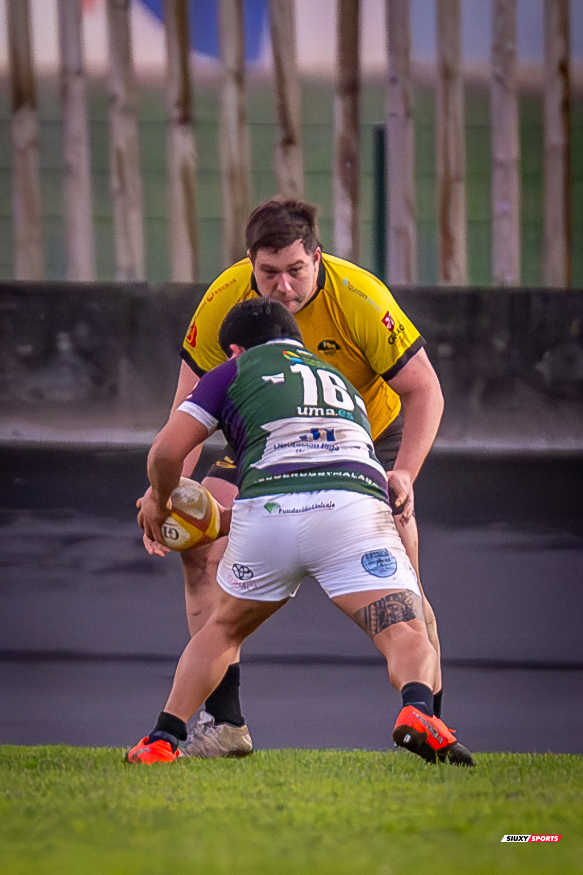  Getxo Artea Rugby Taldea - Club Rugby Málaga - Rugby - FER 2024 - DHB - Getxo RT (52) vs (10) CR Malaga (#FER24DGBGETMAL02) Photo by: Fredy Monfoto | Siuxy Sports 2024-02-10