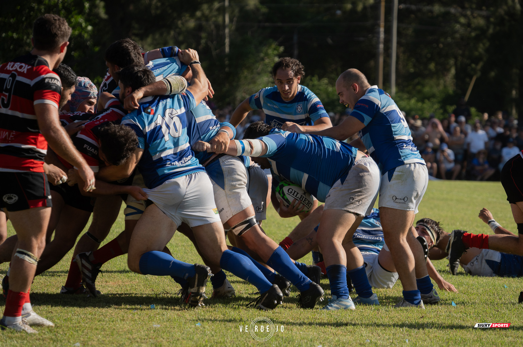  Luján Rugby Club - Monte Grande - Rugby - URBA 2024 - 1ra C - Lujan RC (38) vs (14) Monte Grande RC - Final Ascenso a 1ra B (#URBA24LRCMGRC11) Photo by: Ignacio Verdejo | Siuxy Sports 2024-11-09