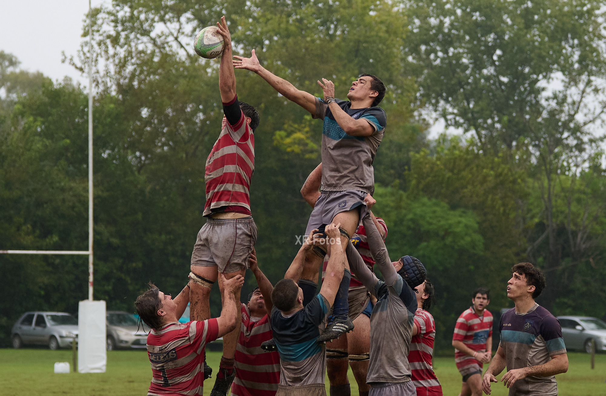  Asociación Alumni - Olivos Rugby Club - Rugby - URBA M19 - 2024 - Alumni vs Olivos RC (#URBA24M19AAORC04) Photo by: Ximena Rebecchi | Siuxy Sports 2024-04-14
