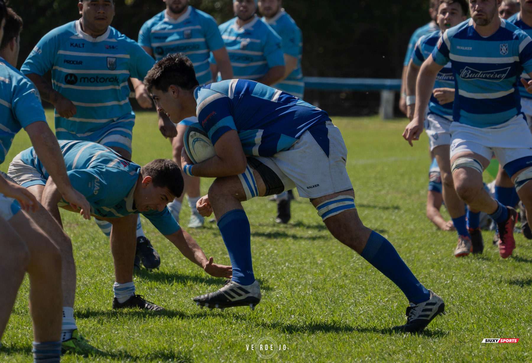  Luján Rugby Club - Club Ciudad de Buenos Aires - Rugby - URBA - 1C - Lujan RC (45) vs (0) Ciudad de Bs As (#URBA1CLRCCBA08) Photo by: Ignacio Verdejo | Siuxy Sports 2024-08-31