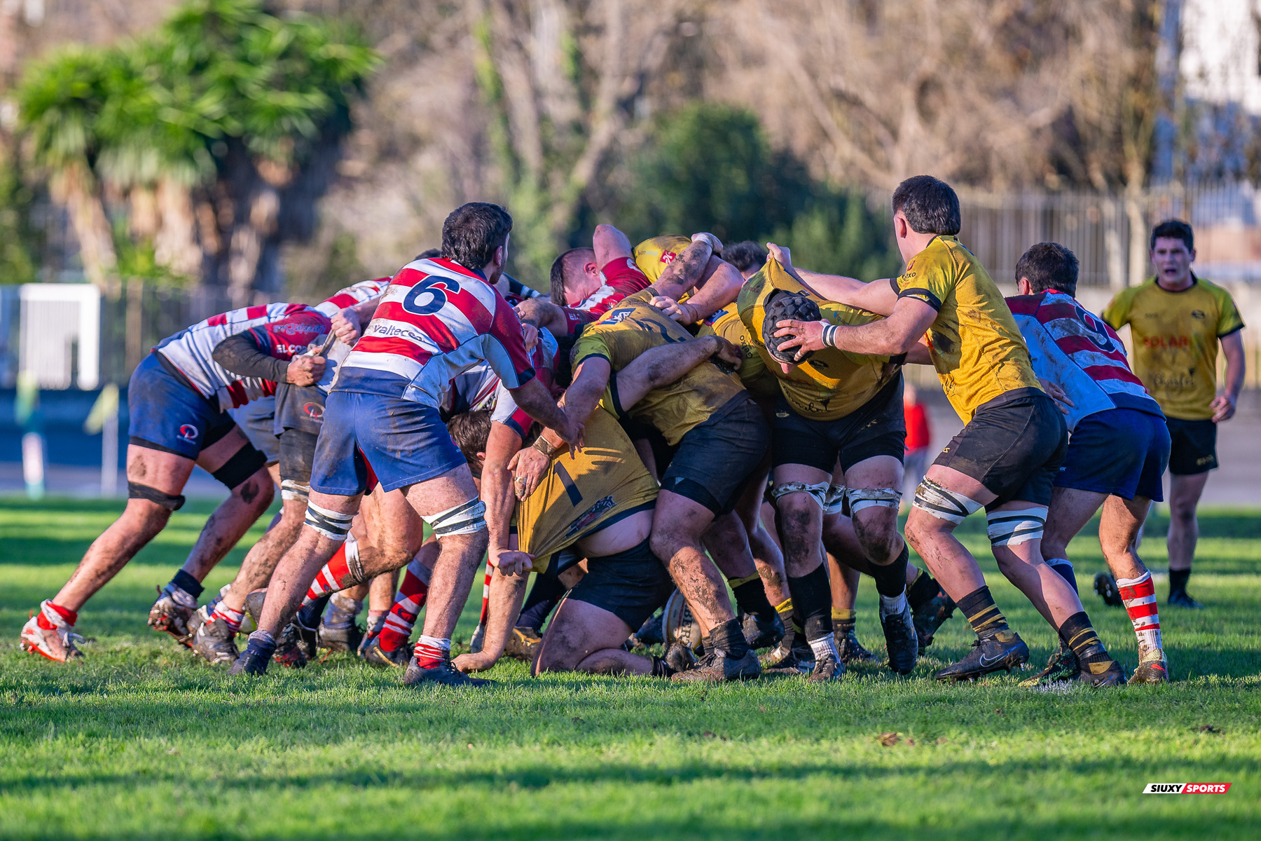  Getxo Artea Rugby Taldea - Universitario Bilbao Rugby - Rugby - FER 2023 - DHB - Getxo Artea RT (19) vs (13) Universitario Bilbao Rugby (#FER23DHBGETUBR12) Photo by: Fredy Monfoto | Siuxy Sports 2023-12-16