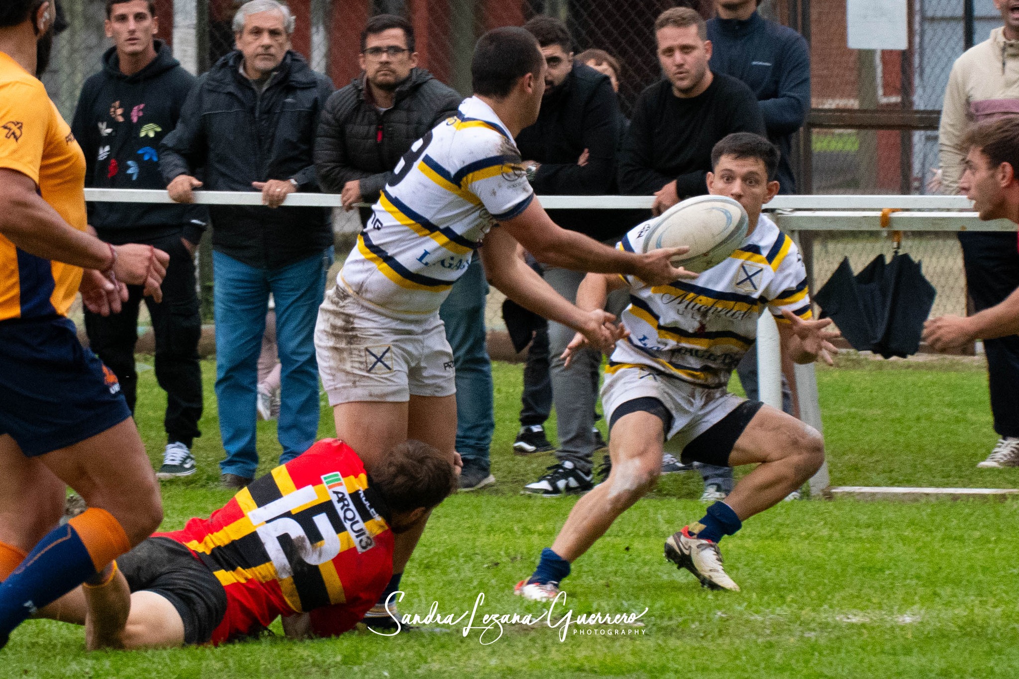 Cardenales Rugby Club - Tucumán Lawn Tennis Club - Rugby - URT 2024 -  Cardenales (26) vs (35) Tucuman Lawn Tennis (#URT24CARTLT04) Photo by: Sandra Lezana Guerrero | Siuxy Sports 2024-04-13