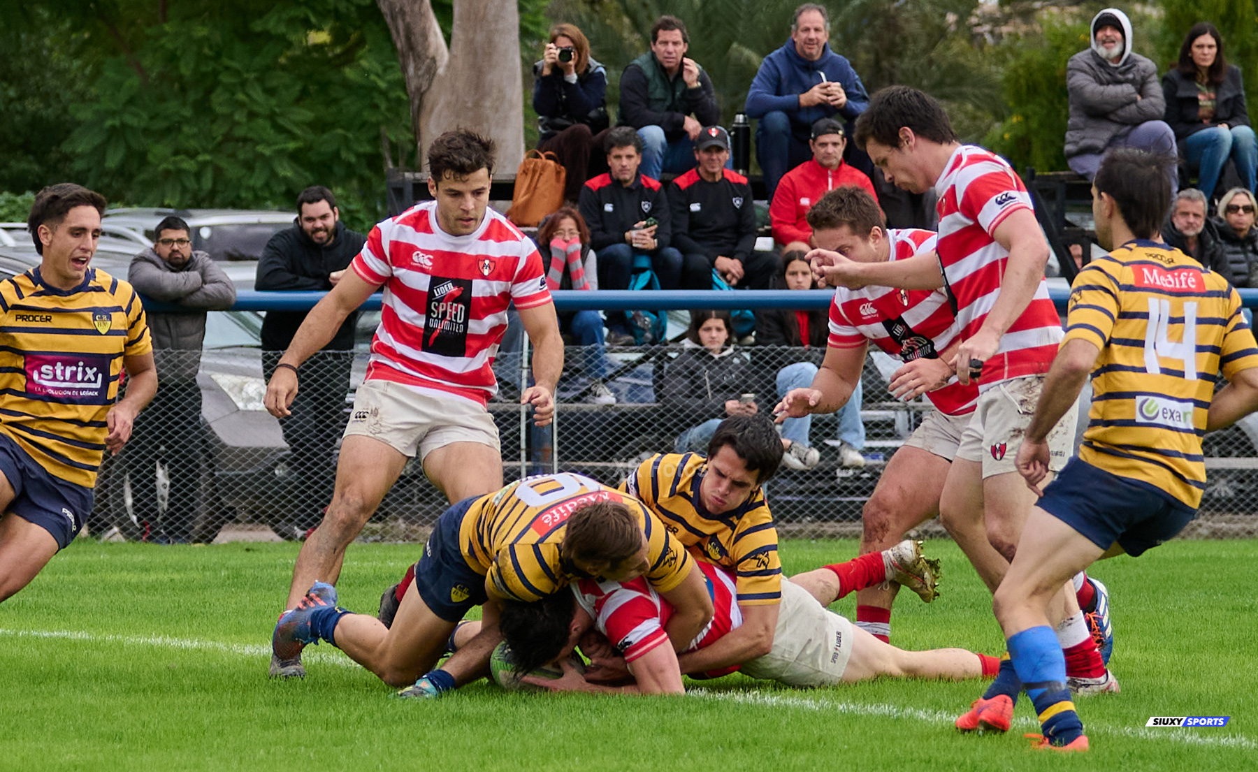  Club Regatas de Bella Vista - Asociación Alumni - Rugby - URBA 2024 - Top 12 Intermedia - Regatas BV (19) vs (26) Asociacion Alumni (#URBA24T12ALURBV14) Photo by: Ximena Rebecchi | Siuxy Sports 2024-04-27