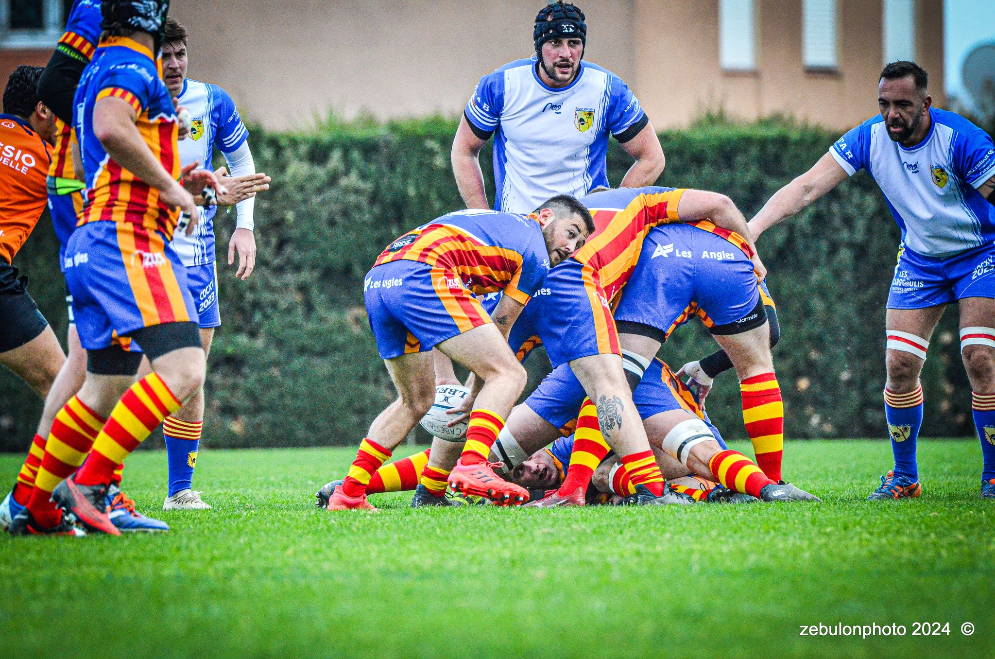  Cabestany Olympique XV - Rugby Athlétique Cerdagne Capcir - Rugby - Ligue Occitanie - Cabestany vs Cerdagne Capcir (#LO24CABRACC01) Photo by: Photo Zebulon | Siuxy Sports 2024-01-27