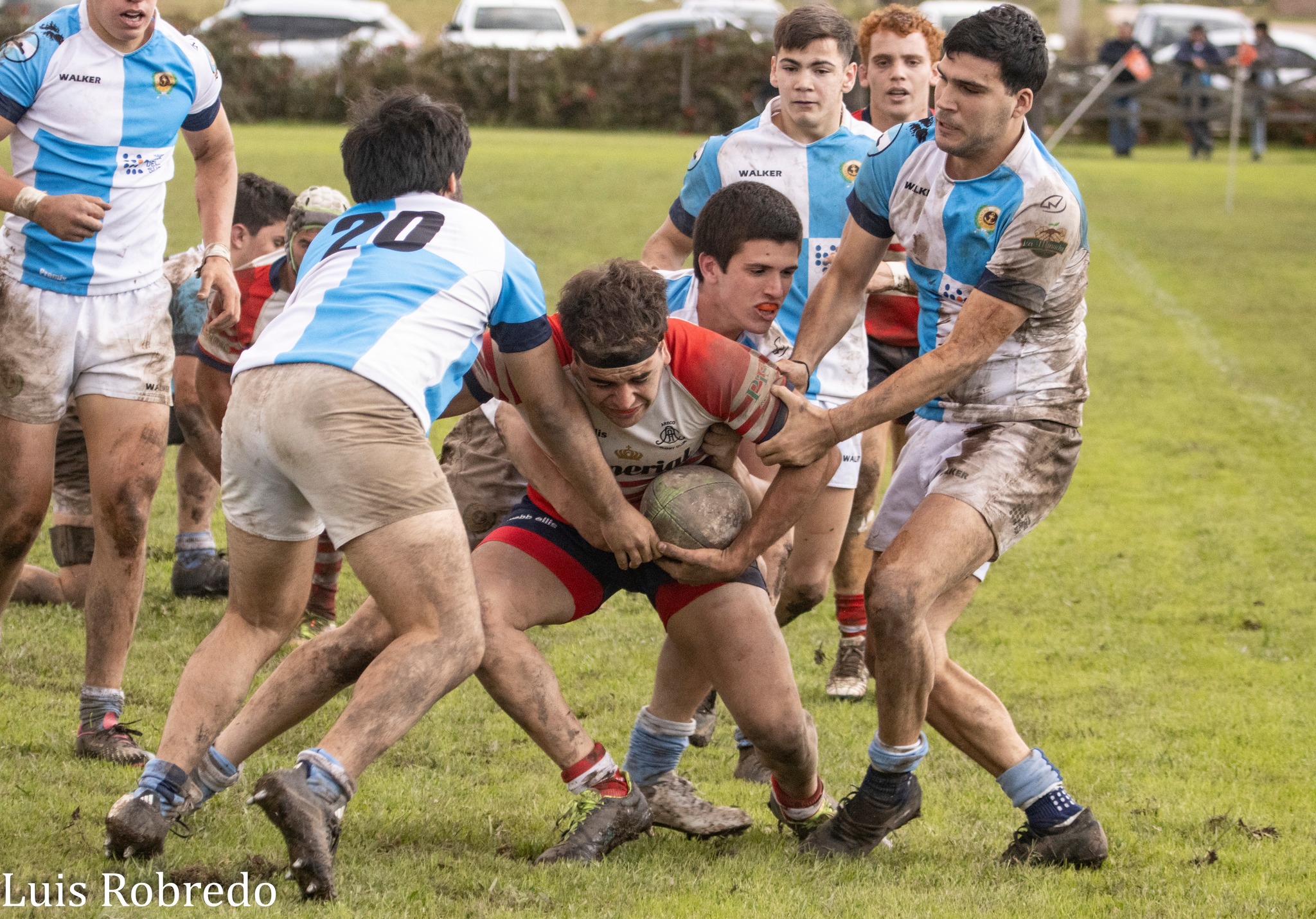  Areco Rugby Club - Centro Naval - Rugby - URBA 2024 - 1ra C - Areco RC (10) vs (45) Centro Naval (#URBA241CARECNA04) Photo by: Luis Robredo | Siuxy Sports 2024-04-26