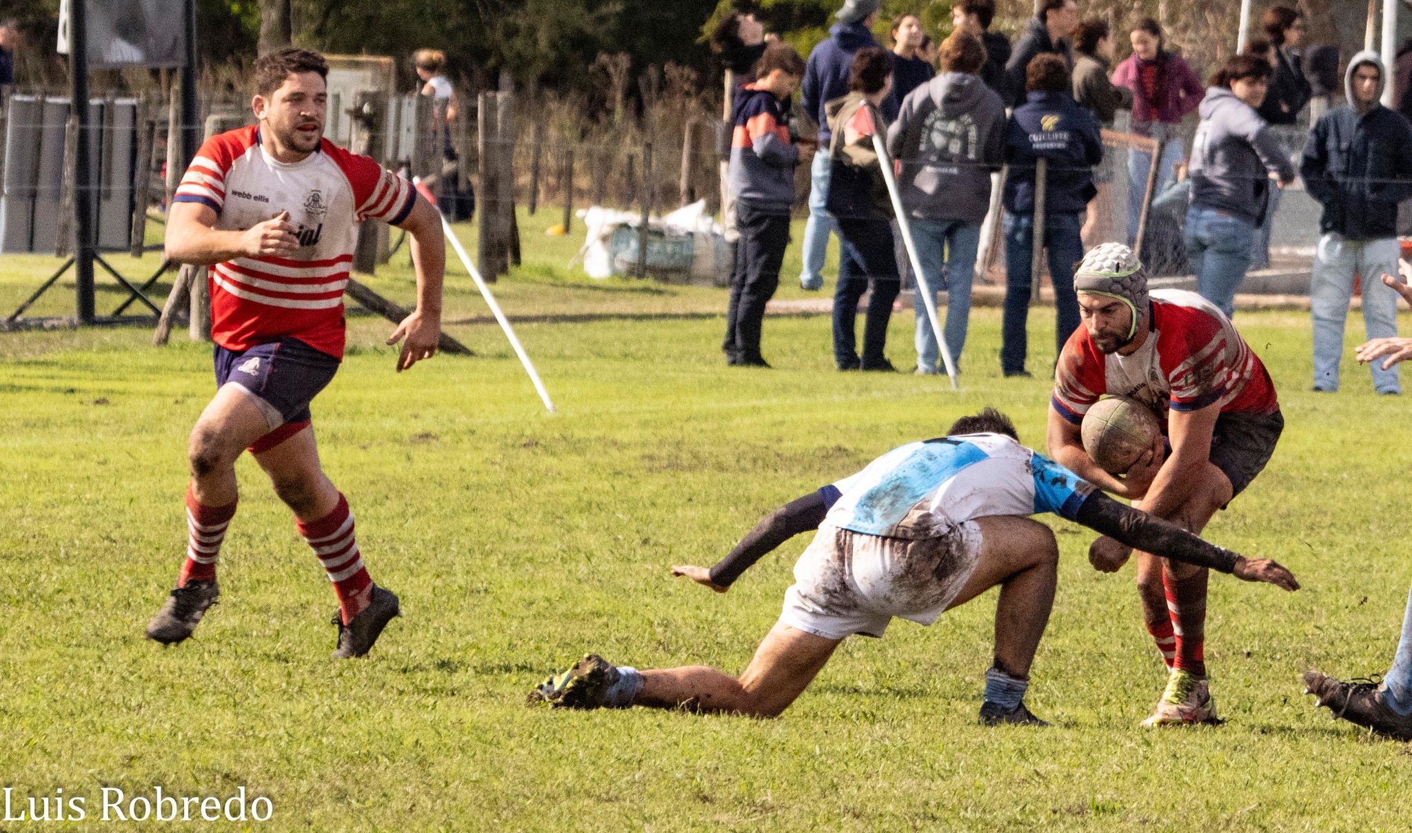  Areco Rugby Club - Centro Naval - Rugby - URBA 2024 - 1ra C - Areco RC (10) vs (45) Centro Naval (#URBA241CARECNA04) Photo by: Luis Robredo | Siuxy Sports 2024-04-26