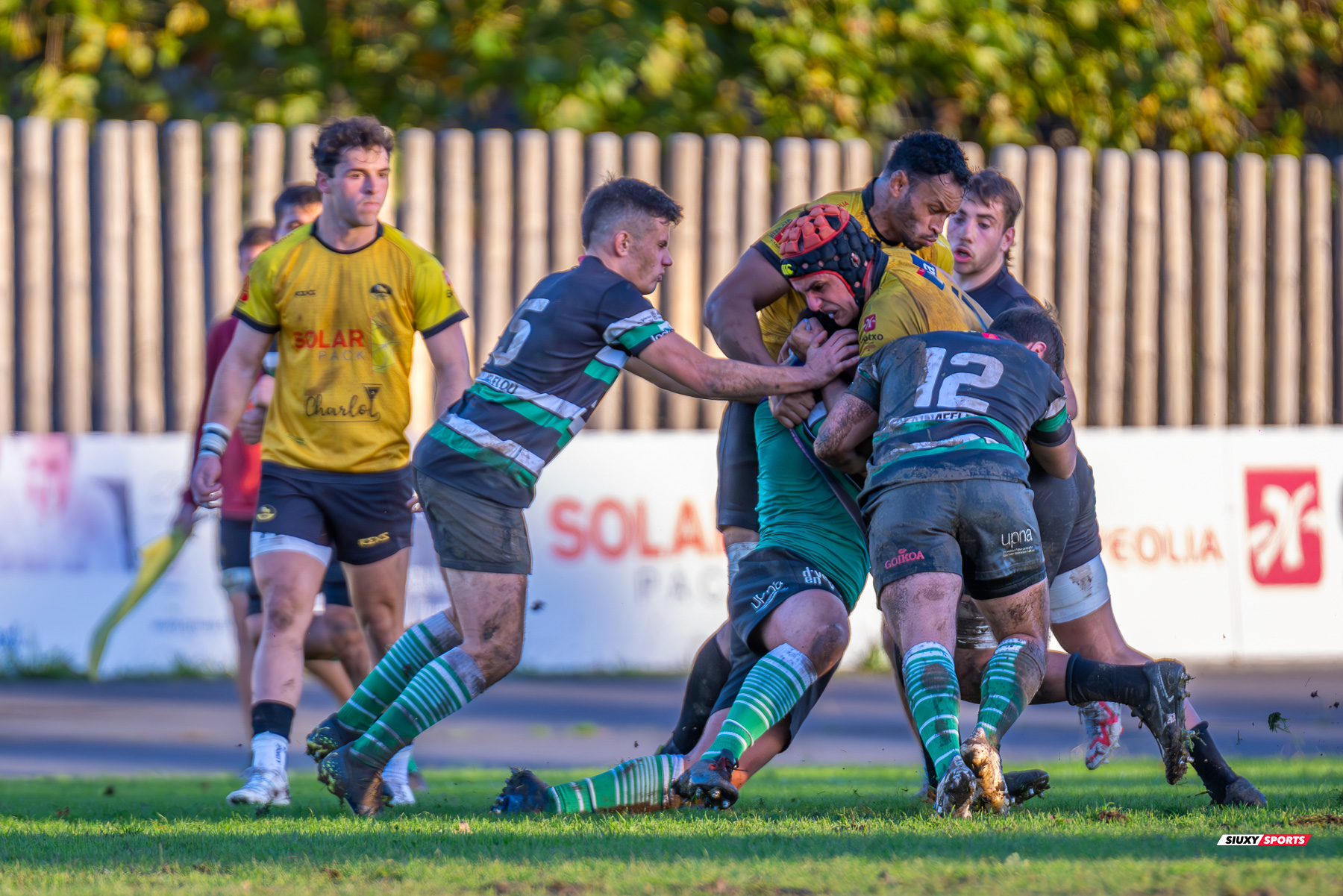 Peio CIRARDA ALBERDI -  Getxo Artea Rugby Taldea - La Única Rugby Taldea - Rugby - FER 2024 - DHB - Getxo RT (91) vs (0) La Unica RT (#FER24DHBGRTLUR11) Photo by: Fredy Monfoto | Siuxy Sports 2023-11-04