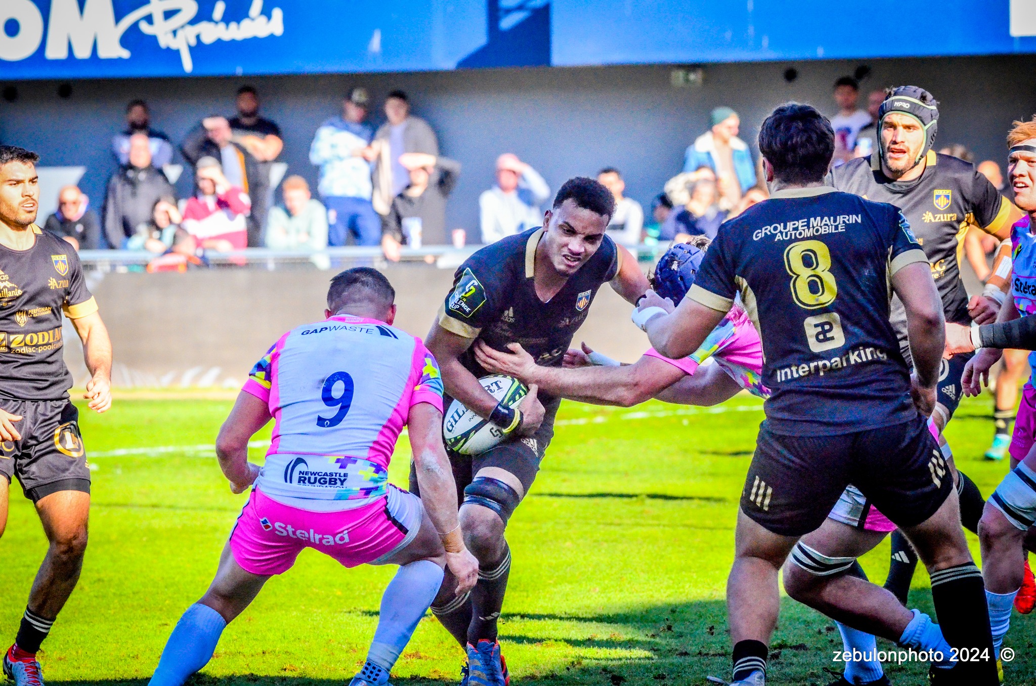  US Arlequins Perpignanais - Newcastle Falcons - Rugby - Challenge Cup - Perpignan (23) vs (32) Newcastle Falcons (#CC24USAPNF01) Photo by: Photo Zebulon | Siuxy Sports 2024-01-21
