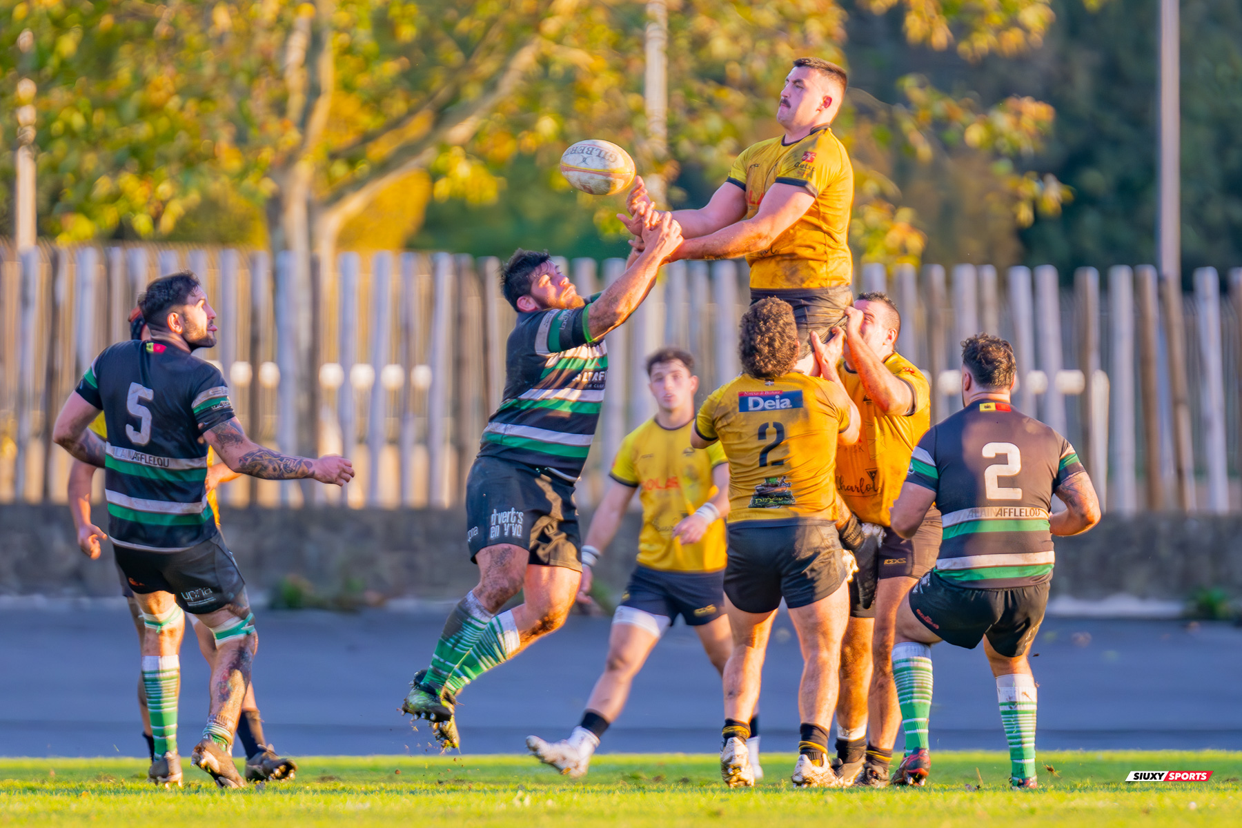 Peio CIRARDA ALBERDI -  Getxo Artea Rugby Taldea - La Única Rugby Taldea - Rugby - FER 2024 - DHB - Getxo RT (91) vs (0) La Unica RT (#FER24DHBGRTLUR11) Photo by: Fredy Monfoto | Siuxy Sports 2023-11-04