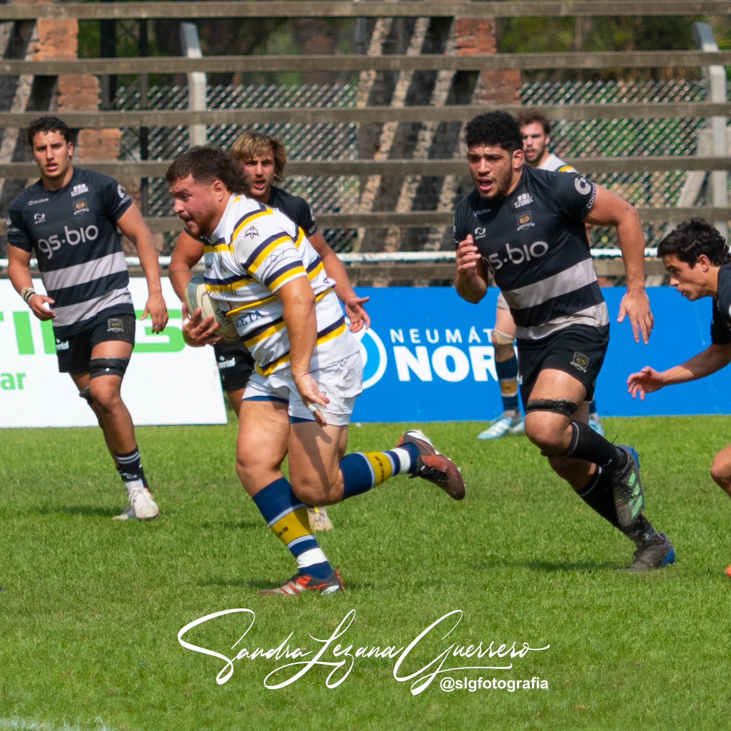  Tucumán Lawn Tennis Club - Tala Rugby Club - Rugby - UAR - Nacional de Clubes 2024 - Tucuman Lawn Tennis vs Tala (#UAR24NCTCLTTC09) Photo by: Sandra Lezana Guerrero | Siuxy Sports 2024-09-21