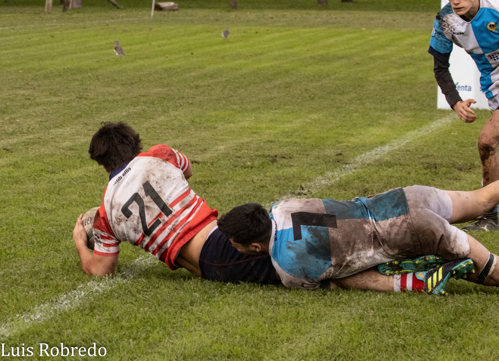  Areco Rugby Club - Centro Naval - Rugby - URBA 2024 - 1ra C - Areco RC (10) vs (45) Centro Naval (#URBA241CARECNA04) Photo by: Luis Robredo | Siuxy Sports 2024-04-26