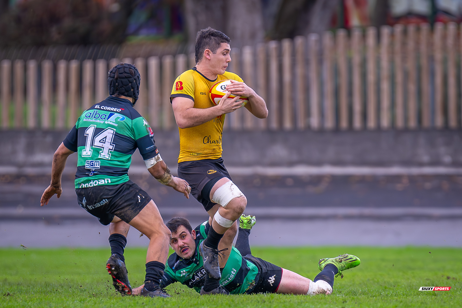  Getxo Artea Rugby Taldea - Gernika Rugby Taldea - Rugby - FER 2023 - DHB - Getxo Artea RT (24) vs (20) Universitario Bilbao Rugby (#FER23DHBGETGER11) Photo by: Fredy Monfoto | Siuxy Sports 2023-11-25