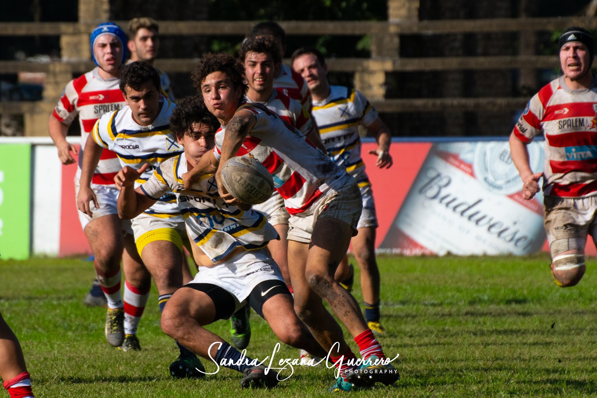  Tucumán Lawn Tennis Club - Santiago Lawn Tennis - Rugby - UAR - Torneo del Interior 2019 - Tucuman Lawn Tennis vs Santiago Lawn Tennis (#UAR19TDITLTSLT06) Photo by: Sandra Lezana Guerrero | Siuxy Sports 2019-06-01