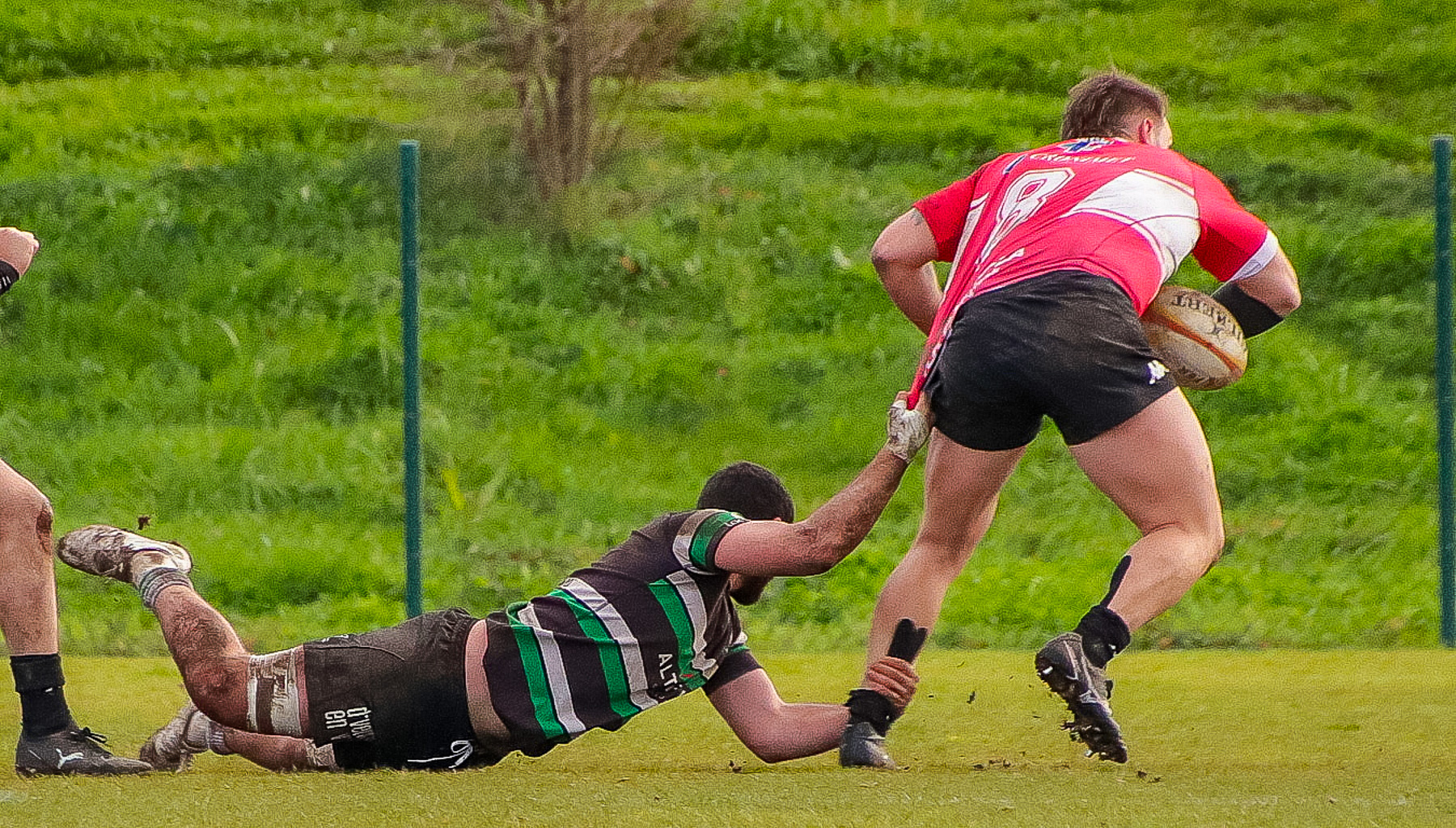 Federico Alejandro BORDIGONI -  La Única Rugby Taldea - Gernika Rugby Taldea - Rugby - FER 2024 - DHB - La Unica RT (10) vs (31) Gernika RT (#FER24DHBUNIGER03) Photo by:  | Siuxy Sports 2024-03-09