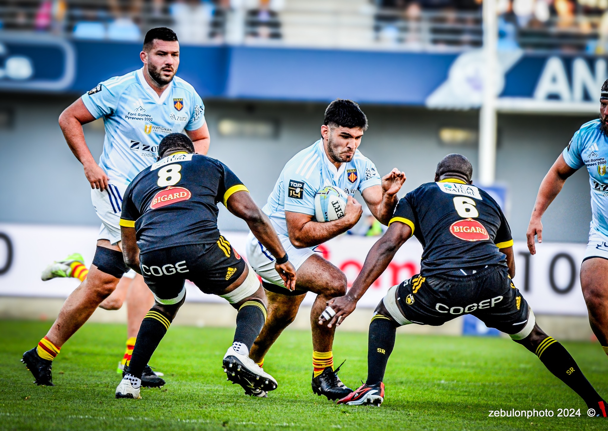  US Arlequins Perpignanais - Stade Rochelais - Rugby - TOP 14 - Perpignan (27) vs (15) La Rochelle (#TOP12USAPSR02) Photo by: Photo Zebulon | Siuxy Sports 2024-02-24
