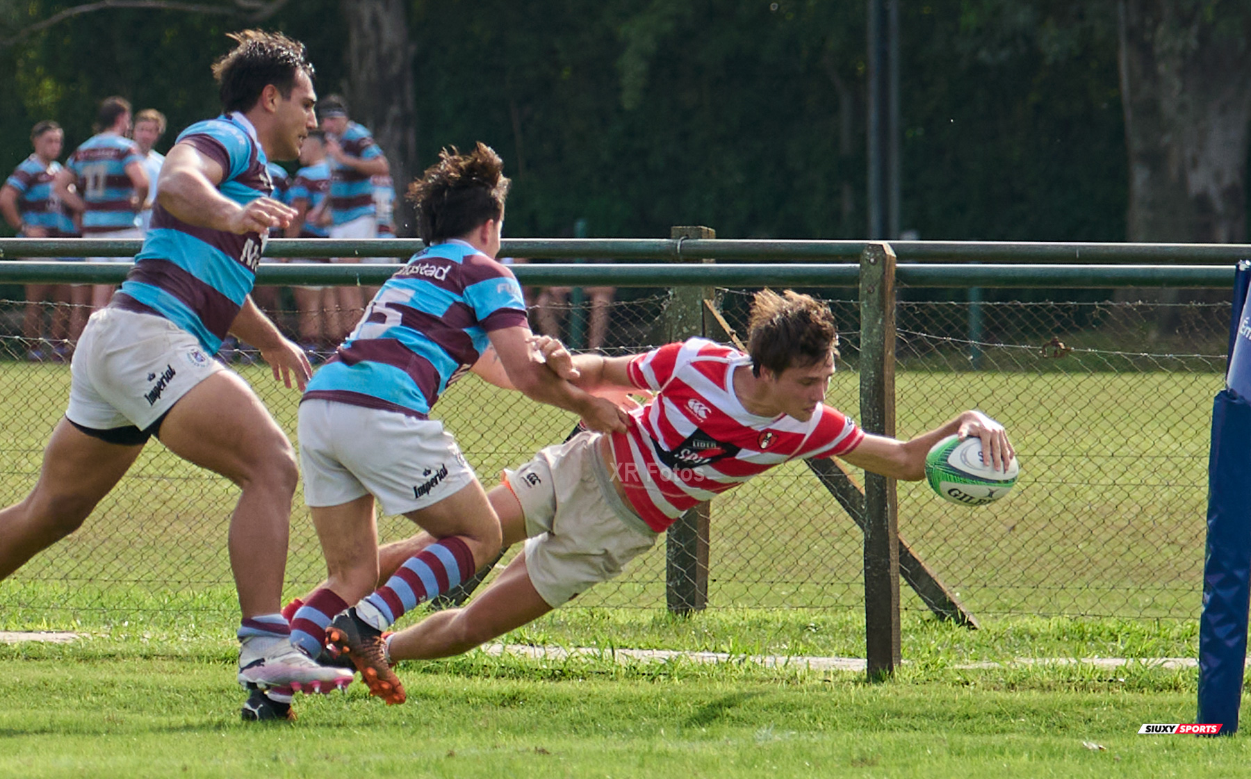  Asociación Alumni - Club Atlético del Rosario - Rugby - URBA 2024 - TOP 12 Intermedia - ALUMNI (54) VS (10) Atlético del Rosario (#URBA24T12ALUADR204) Photo by: Ximena Rebecchi | Siuxy Sports 2024-04-20