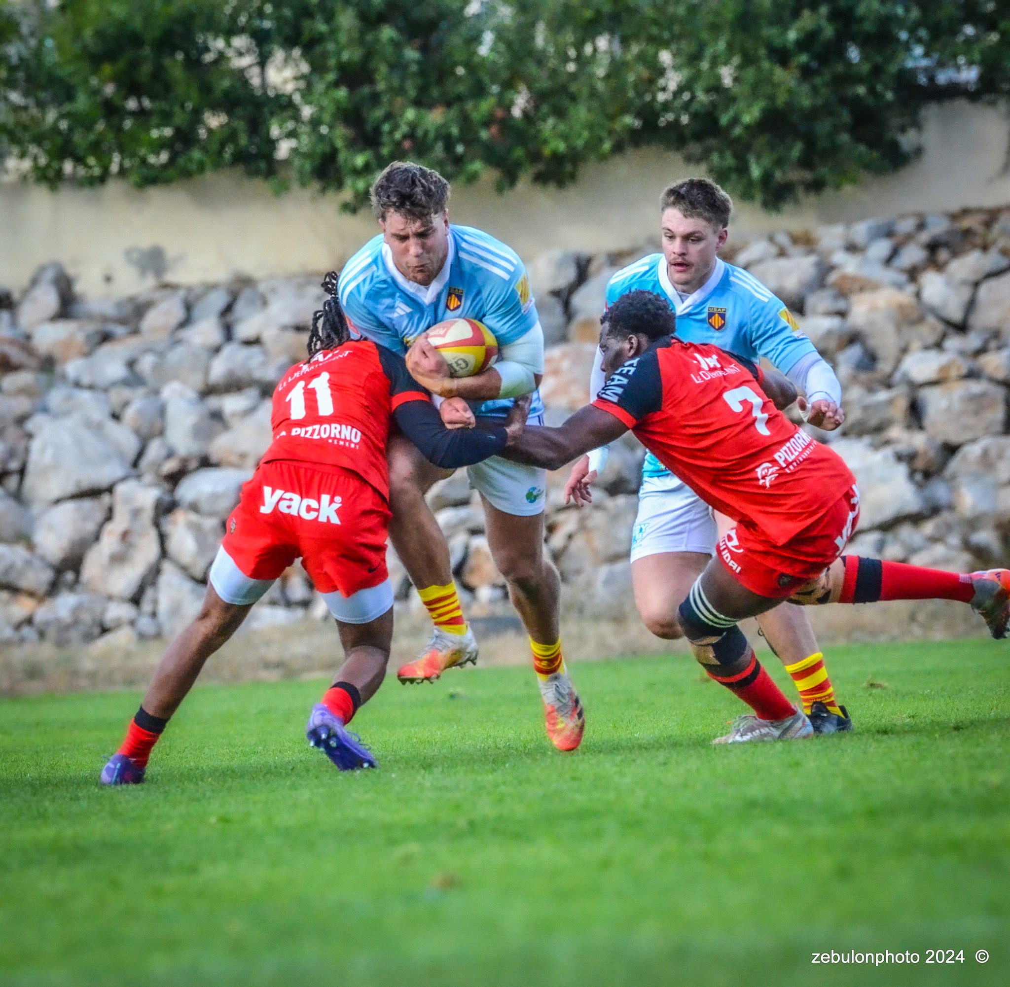  US Arlequins Perpignanais - RC Toulonnais - Rugby - Espoirs - USAP vs RCT (#ESP24USAPRCT02) Photo by: Photo Zebulon | Siuxy Sports 2024-02-10