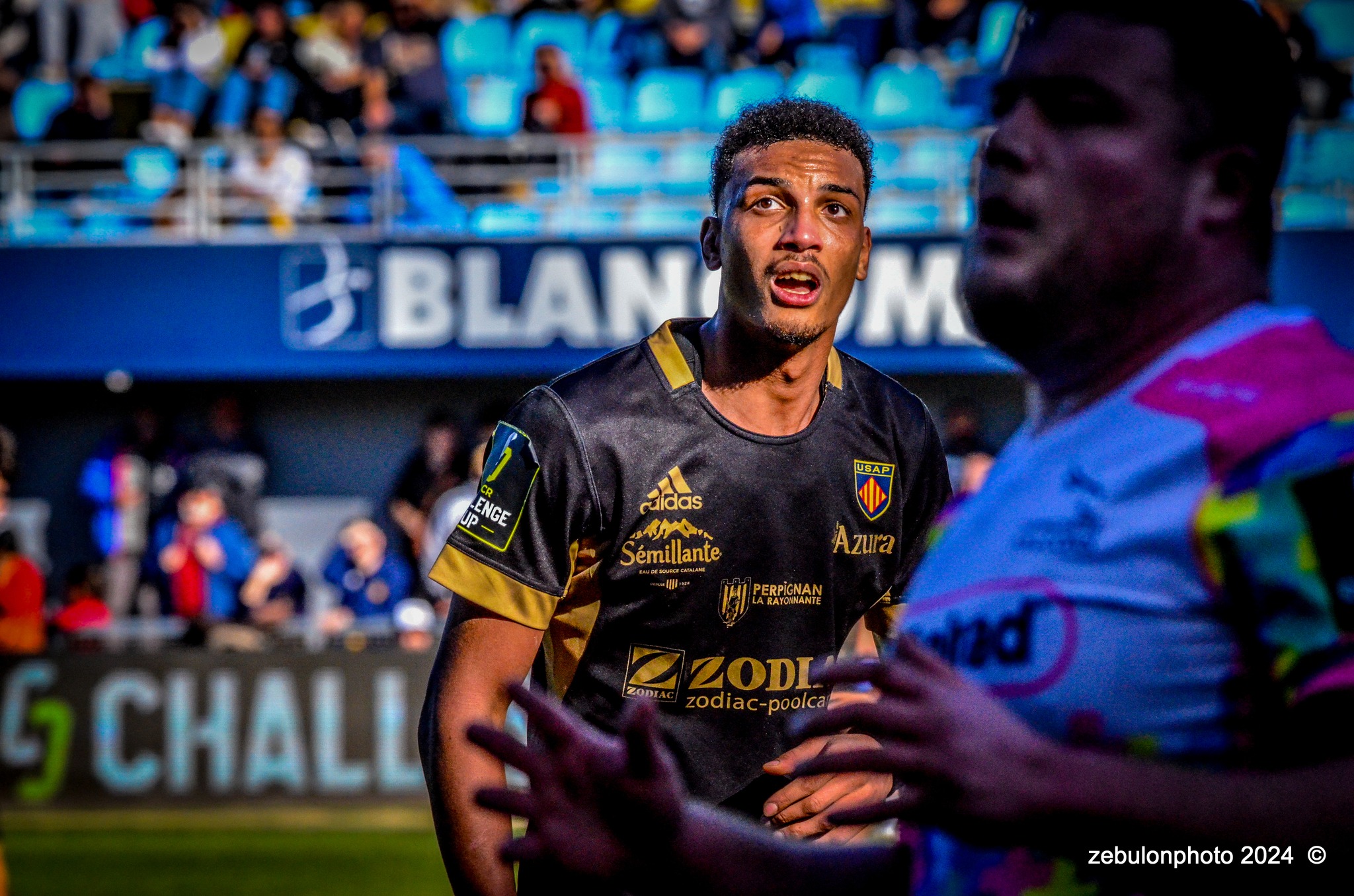  US Arlequins Perpignanais - Newcastle Falcons - Rugby - Challenge Cup - Perpignan (23) vs (32) Newcastle Falcons (#CC24USAPNF01) Photo by: Photo Zebulon | Siuxy Sports 2024-01-21