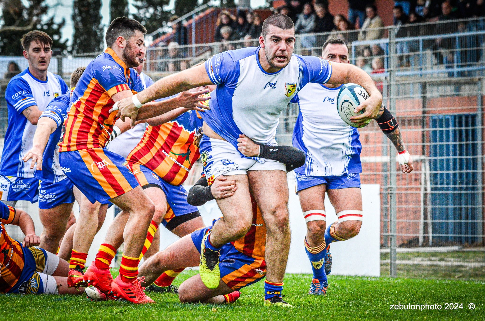  Cabestany Olympique XV - Rugby Athlétique Cerdagne Capcir - Rugby - Ligue Occitanie - Cabestany vs Cerdagne Capcir (#LO24CABRACC01) Photo by: Photo Zebulon | Siuxy Sports 2024-01-27
