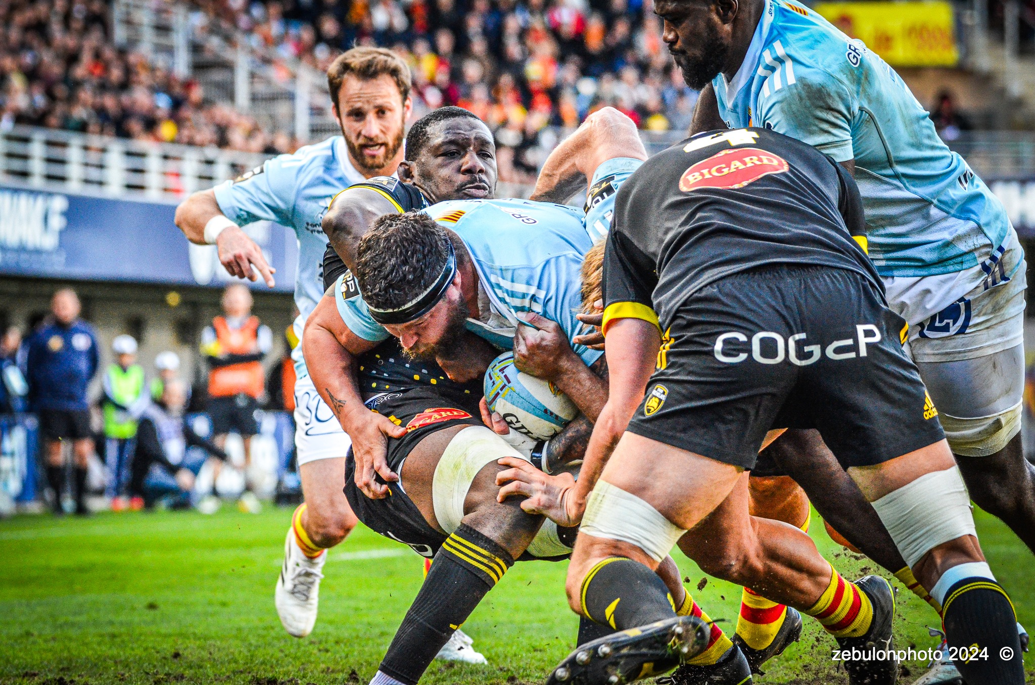  US Arlequins Perpignanais - Stade Rochelais - Rugby - TOP 14 - Perpignan (27) vs (15) La Rochelle (#TOP12USAPSR02) Photo by: Photo Zebulon | Siuxy Sports 2024-02-24