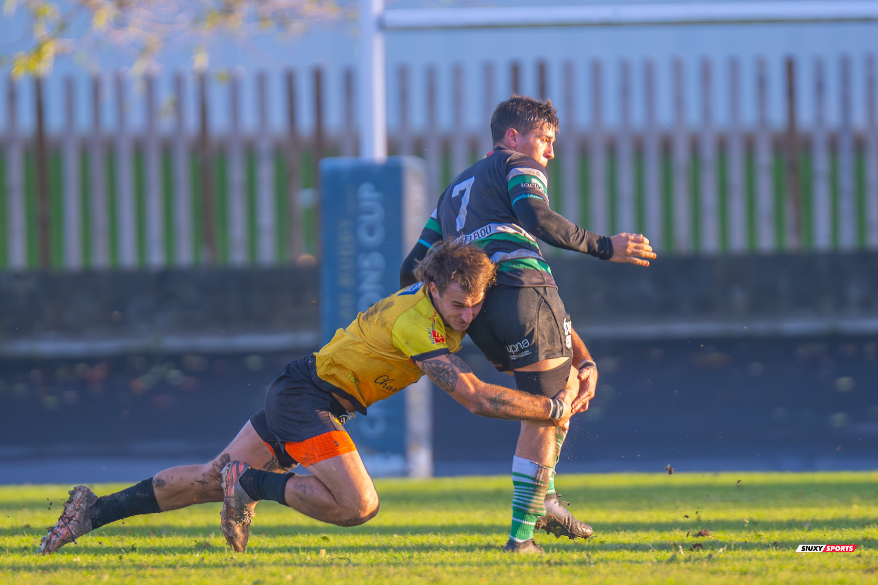  Getxo Artea Rugby Taldea - La Única Rugby Taldea - Rugby - FER 2024 - DHB - Getxo RT (91) vs (0) La Unica RT (#FER24DHBGRTLUR11) Photo by: Fredy Monfoto | Siuxy Sports 2023-11-04