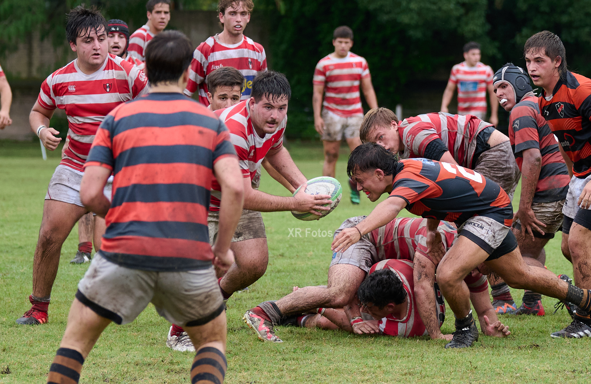  Asociación Alumni - Olivos Rugby Club - Rugby - URBA M19 - 2024 - Alumni vs Olivos RC (#URBA24M19AAORC04) Photo by: Ximena Rebecchi | Siuxy Sports 2024-04-14