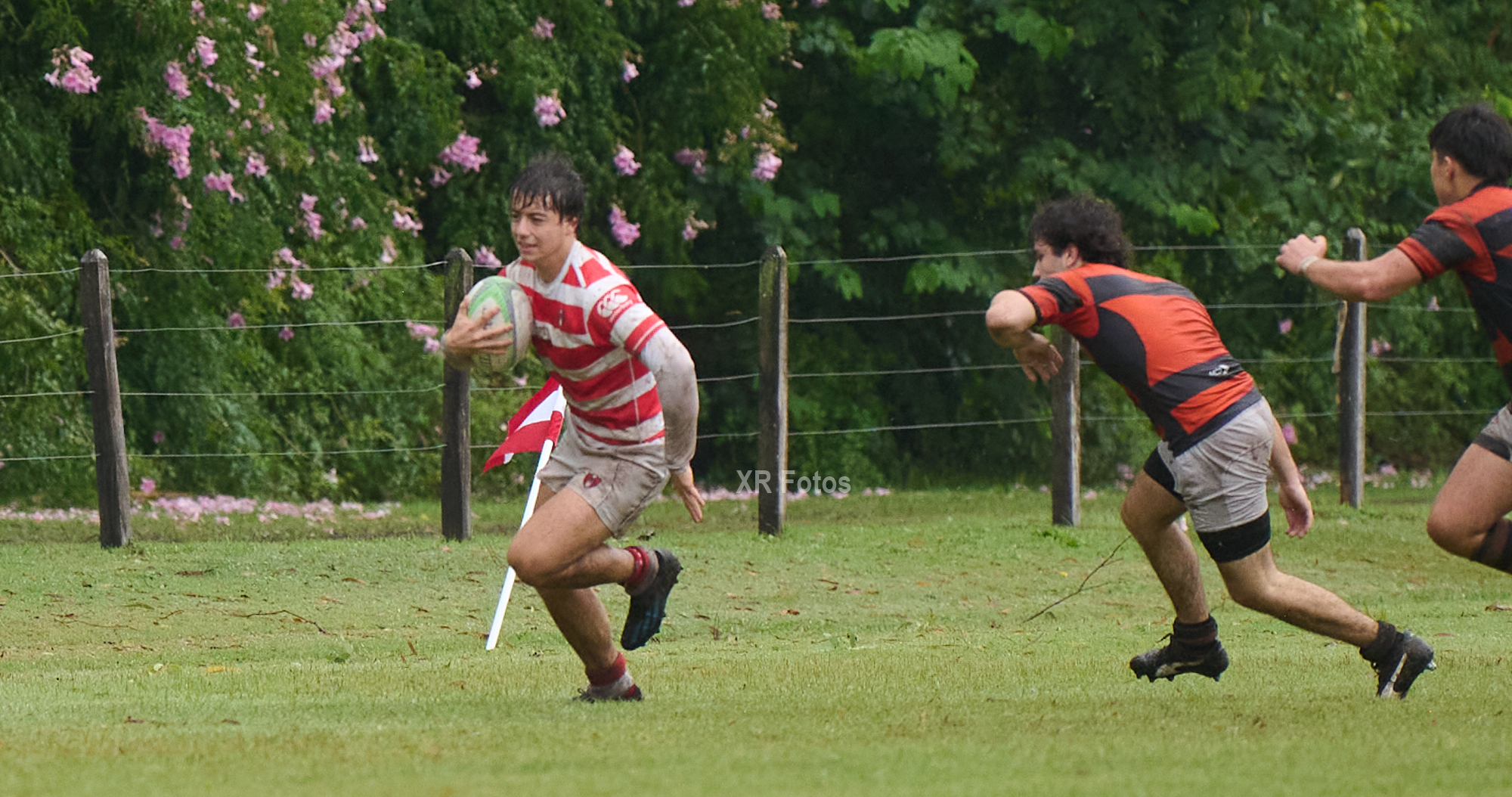  Asociación Alumni - Olivos Rugby Club - Rugby - URBA M19 - 2024 - Alumni vs Olivos RC (#URBA24M19AAORC04) Photo by: Ximena Rebecchi | Siuxy Sports 2024-04-14