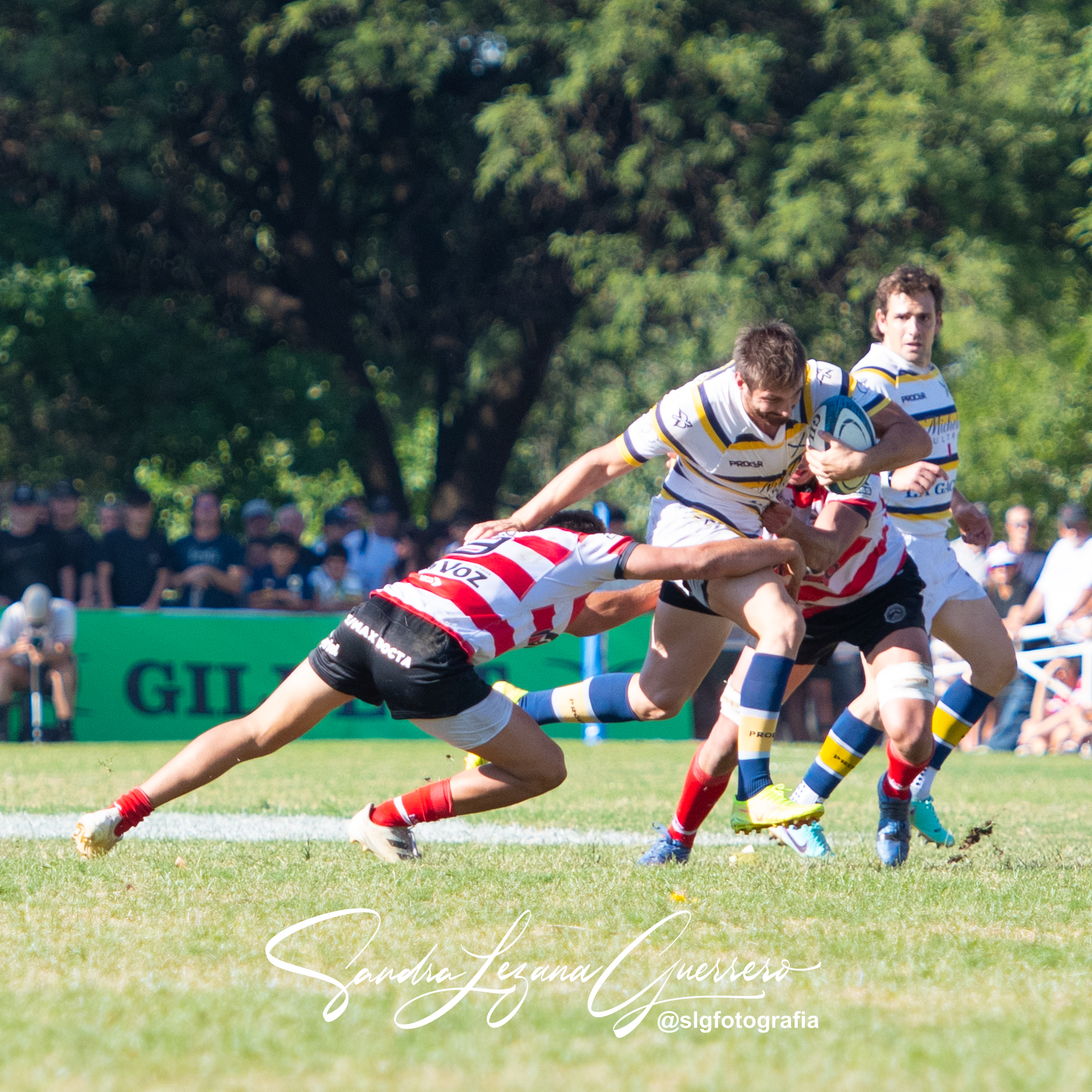  Jockey Club Córdoba - Tucumán Lawn Tennis Club - Rugby - UAR - Torneo del Interior 2024 - Final - Jockey Cordoba (24) vs (30) Tucuman Lawn Tennis (#UAR24TITLTCJC111) Photo by: Sandra Lezana Guerrero | Siuxy Sports 2024-11-09