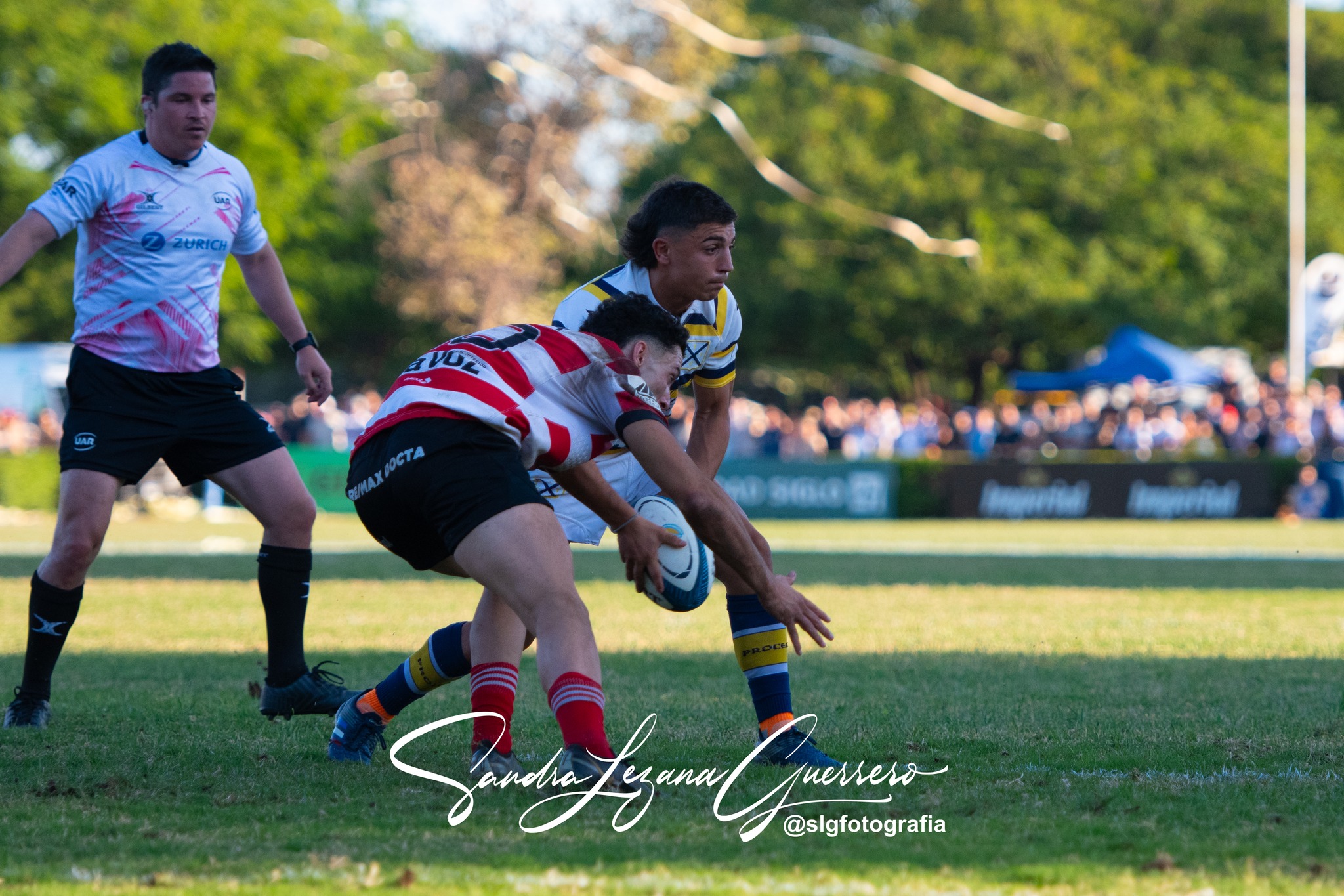  Jockey Club Córdoba - Tucumán Lawn Tennis Club - Rugby - UAR - Torneo del Interior 2024 - Final - Jockey Cordoba (24) vs (30) Tucuman Lawn Tennis (#UAR24TITLTCJC111) Photo by: Sandra Lezana Guerrero | Siuxy Sports 2024-11-09