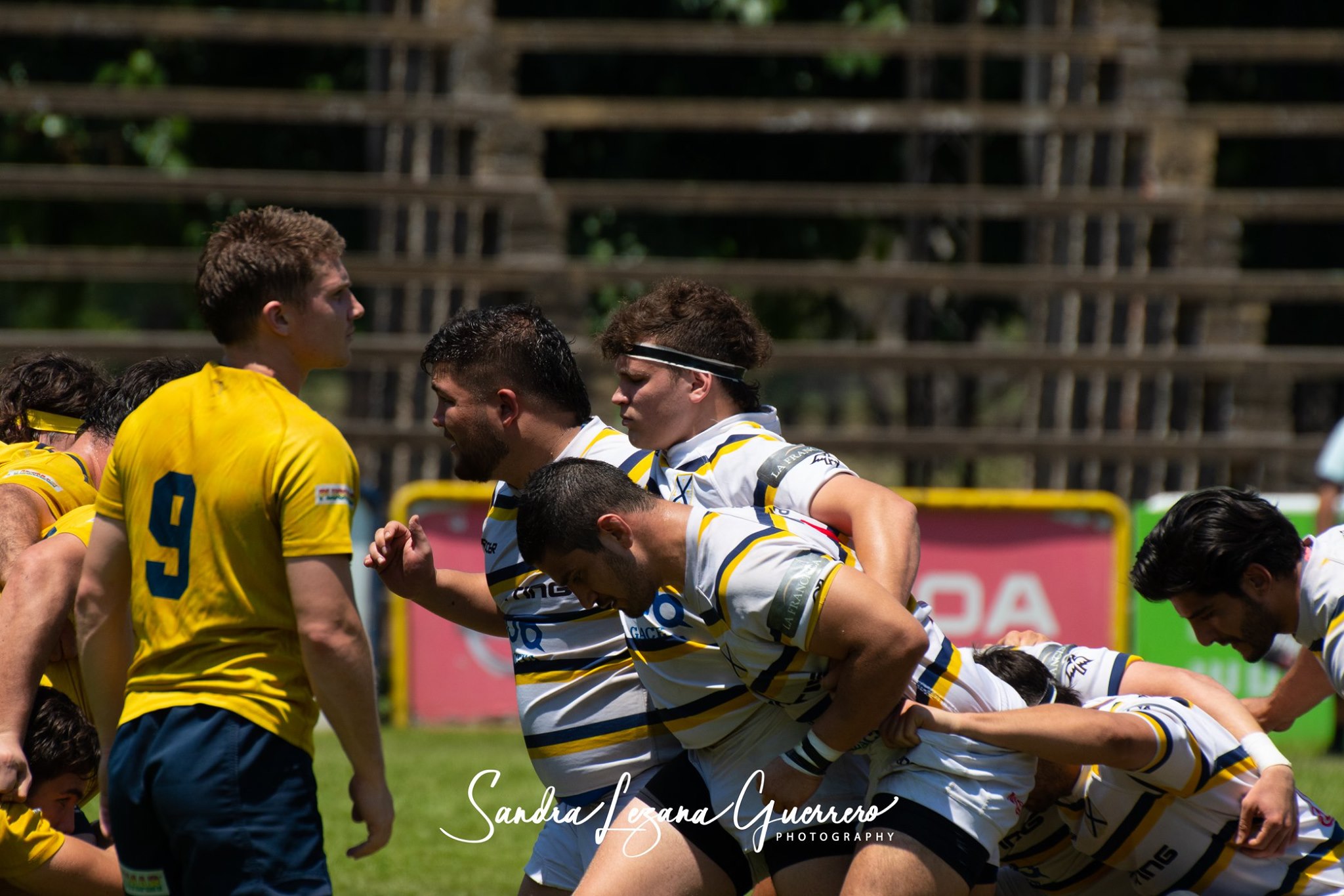  Tucumán Lawn Tennis Club - La Plata Rugby Club - Rugby - UAR - Nacional de Clubes 2019 - Tucuman Lawn Tennis (35) vs (50) La Plata RC (#UAR19NDCTLTLP10) Photo by: Sandra Lezana Guerrero | Siuxy Sports 2019-10-26
