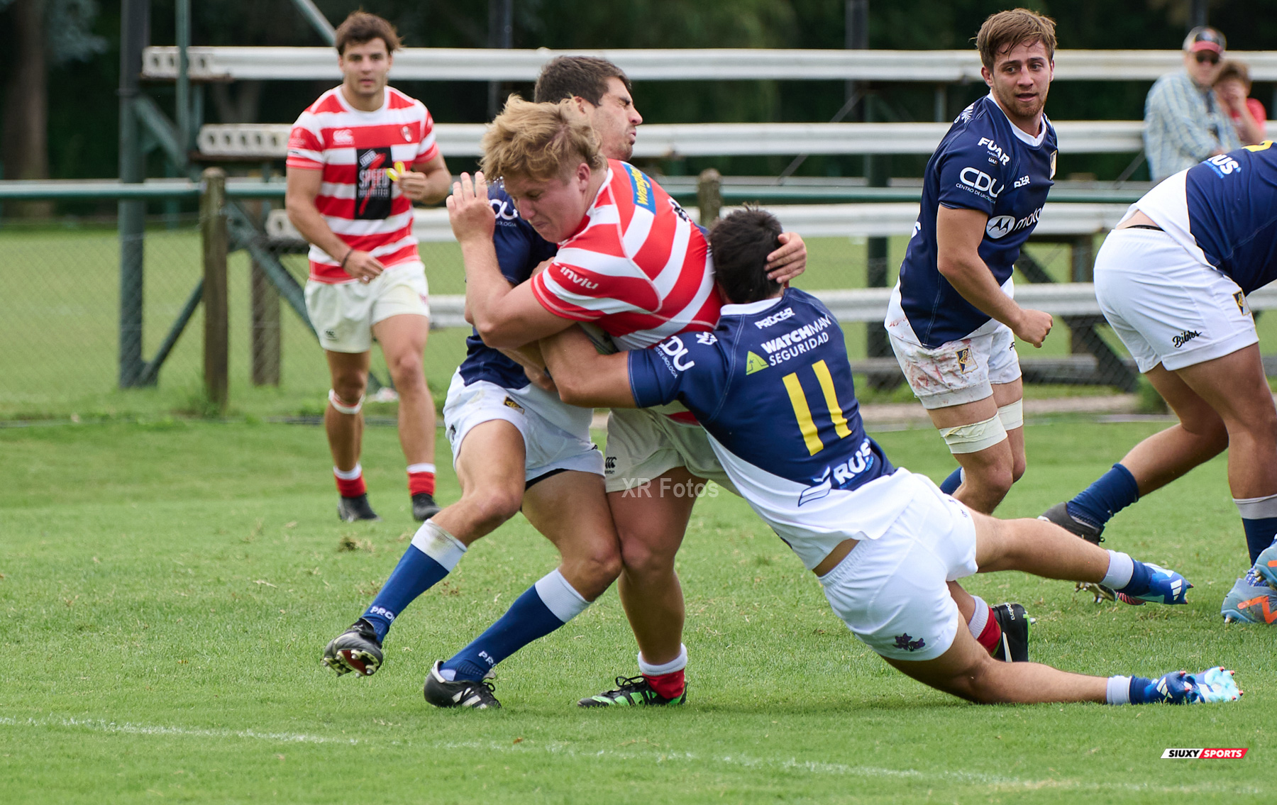  Asociación Alumni - Club Champagnat - Rugby - URBA 2024 - Top 12 PreA- Alumni (33) vs (17) Champagnat (#URBA24T12ALUCHA204) Photo by: Ximena Rebecchi | Siuxy Sports 2024-04-06