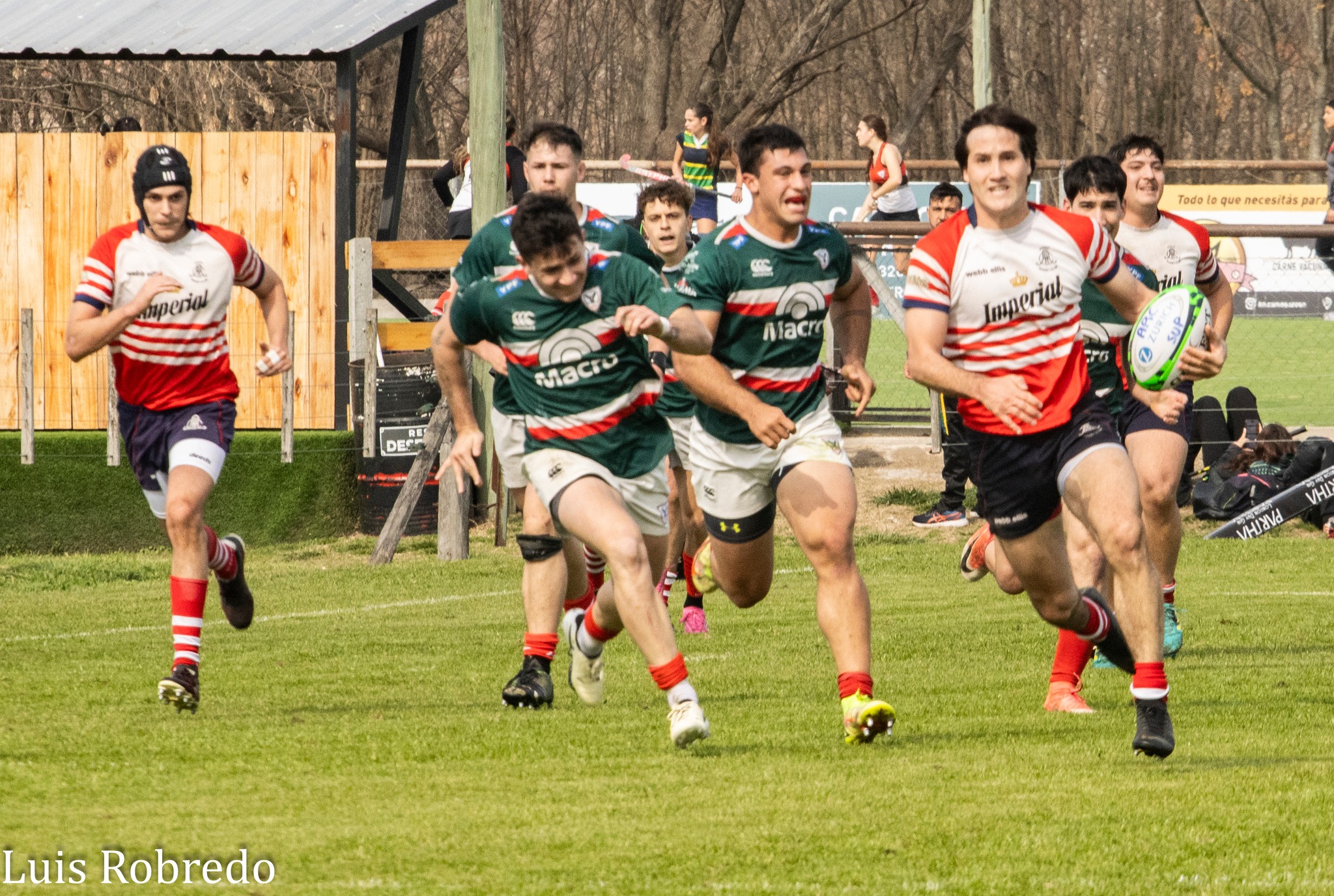  Areco Rugby Club - Sociedad Italiana de Tiro al Segno - Rugby - URBA 2024 - 1C - Areco (14) vs (59) SITAS (#URBA241CARESIT08) Photo by: Luis Robredo | Siuxy Sports 2024-08-17