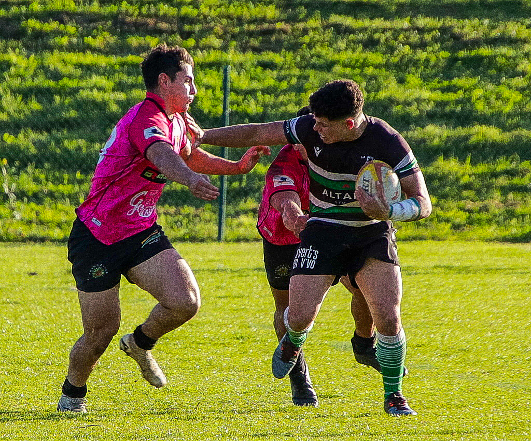  La Única Rugby Taldea - Uribealdea Rugby Kirol Elkartea - Rugby - FER 2024 - DHB - La Unica RT (41) vs (9) Uribealdea Rugby (#FER24DHBUNIURI03) Photo by:  | Siuxy Sports 2024-03-23