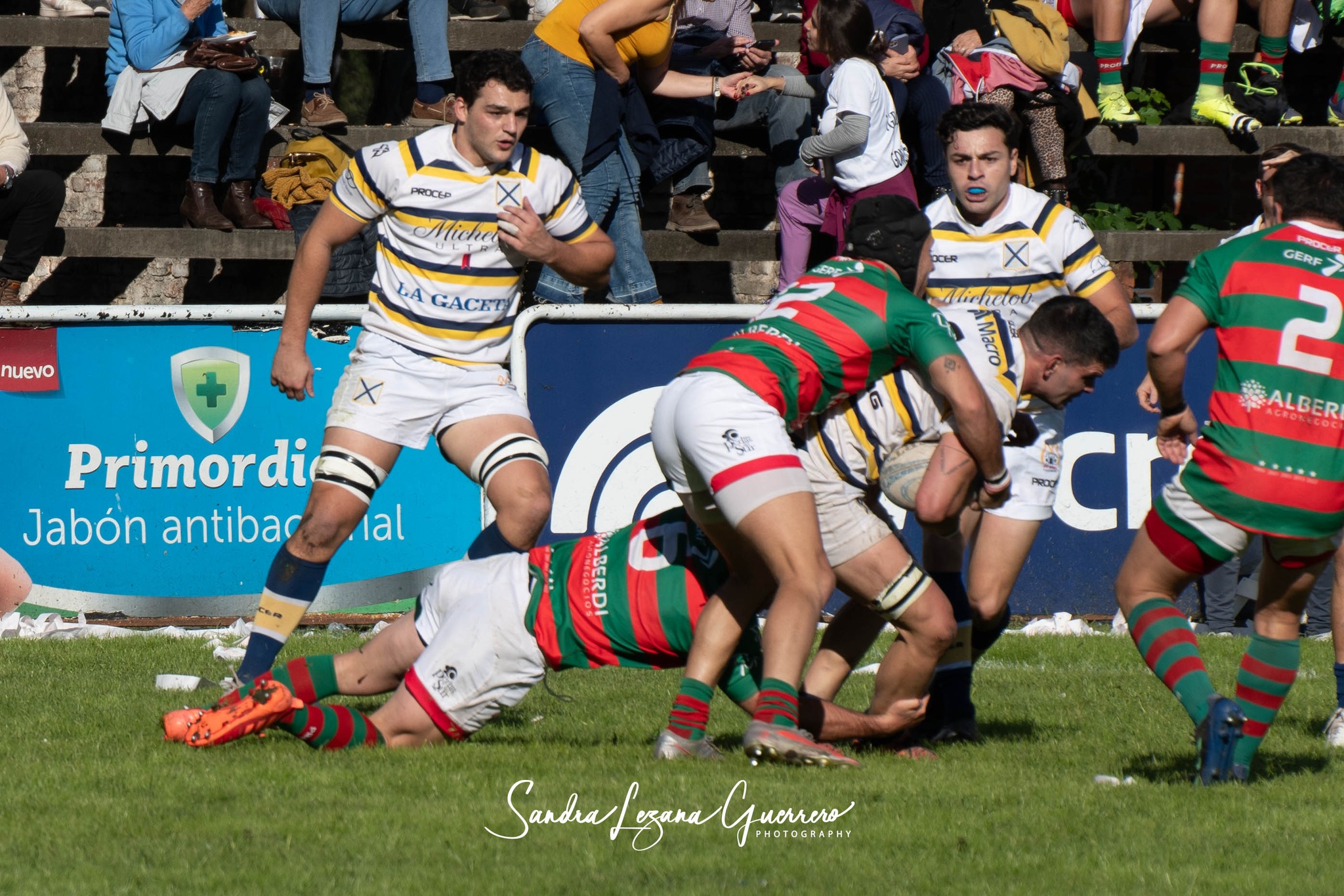  Tucumán Lawn Tennis Club - Huirapuca Social Club - Rugby - URT 2024 - Tucuman Lawn Tennis (42) vs (20) Huirapuca Social Club (#URT24TLTHUI05) Photo by: Sandra Lezana Guerrero | Siuxy Sports 2024-05-19
