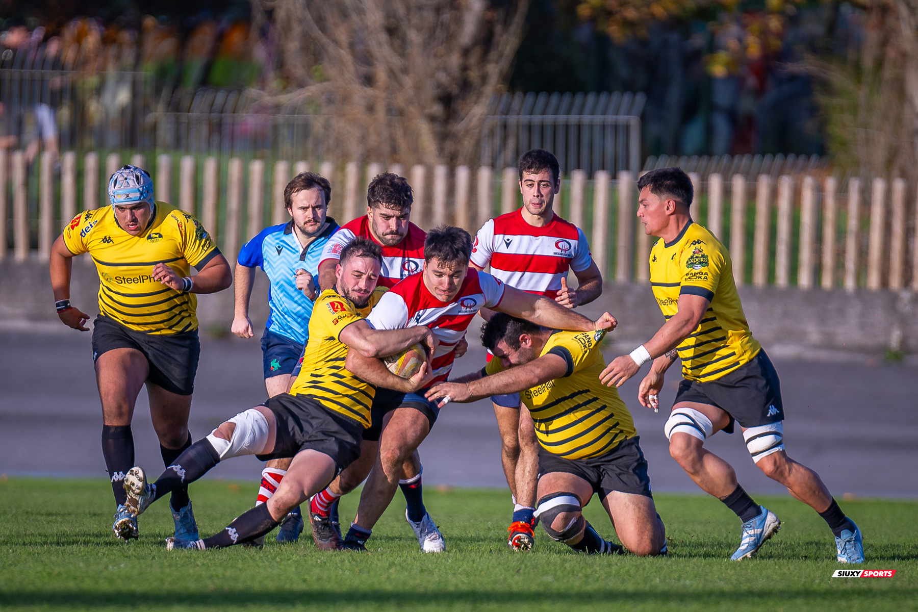  Getxo Artea Rugby Taldea - Universitario Bilbao Rugby - Rugby - FER 2024 - DHB - Getxo RT (35) vs (14) Universitario Bilbao Rugby (#FER24DHBGRTUBR11) Photo by: Fredy Monfoto | Siuxy Sports 2024-11-30
