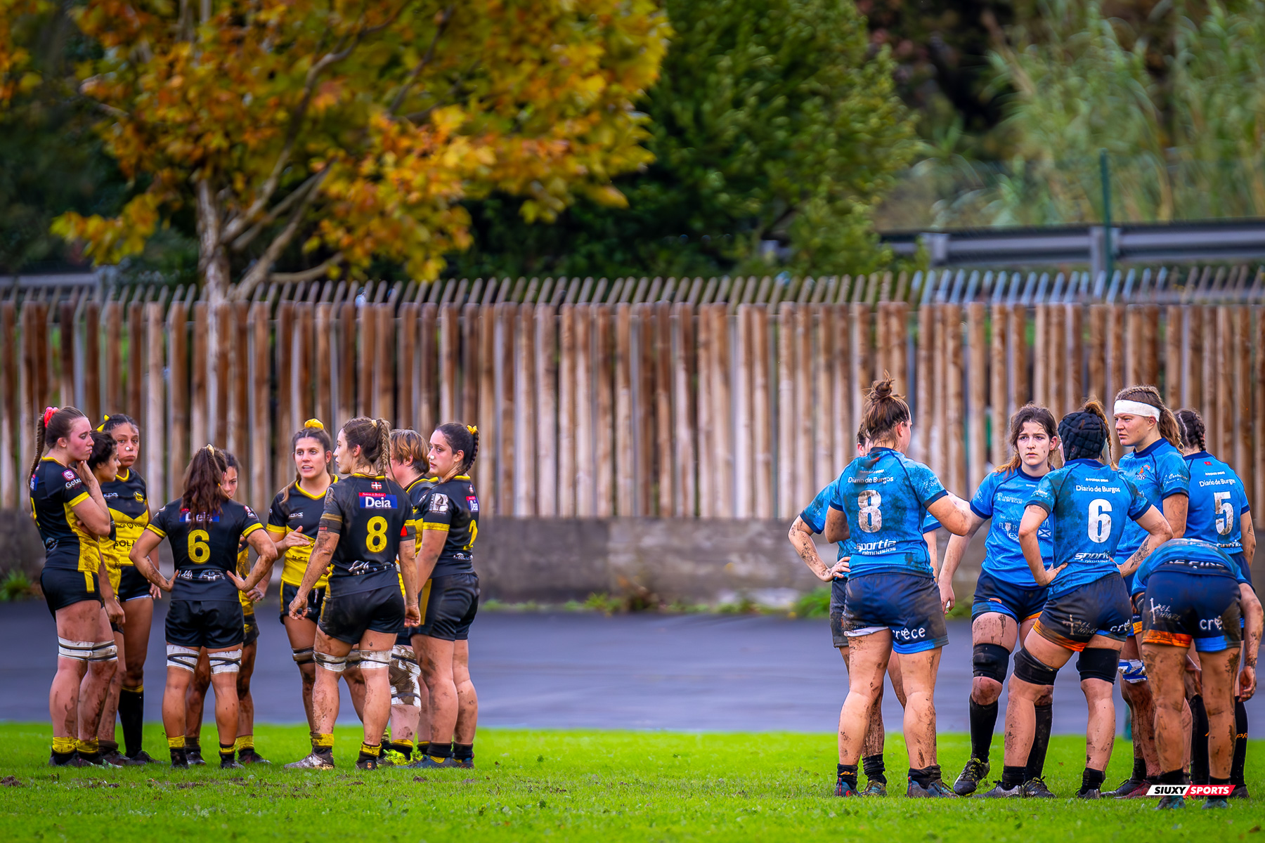  Getxo Artea Rugby Taldea - PRB FLOR DE ESCOCIA UBU - Rugby - FER 2023 - DHB F - Getxo Neskak Rt (31) vs (5) PRB Flor de Escocia (#FER23DHBGNFDE11) Photo by: Fredy Monfoto | Siuxy Sports 2023-11-11
