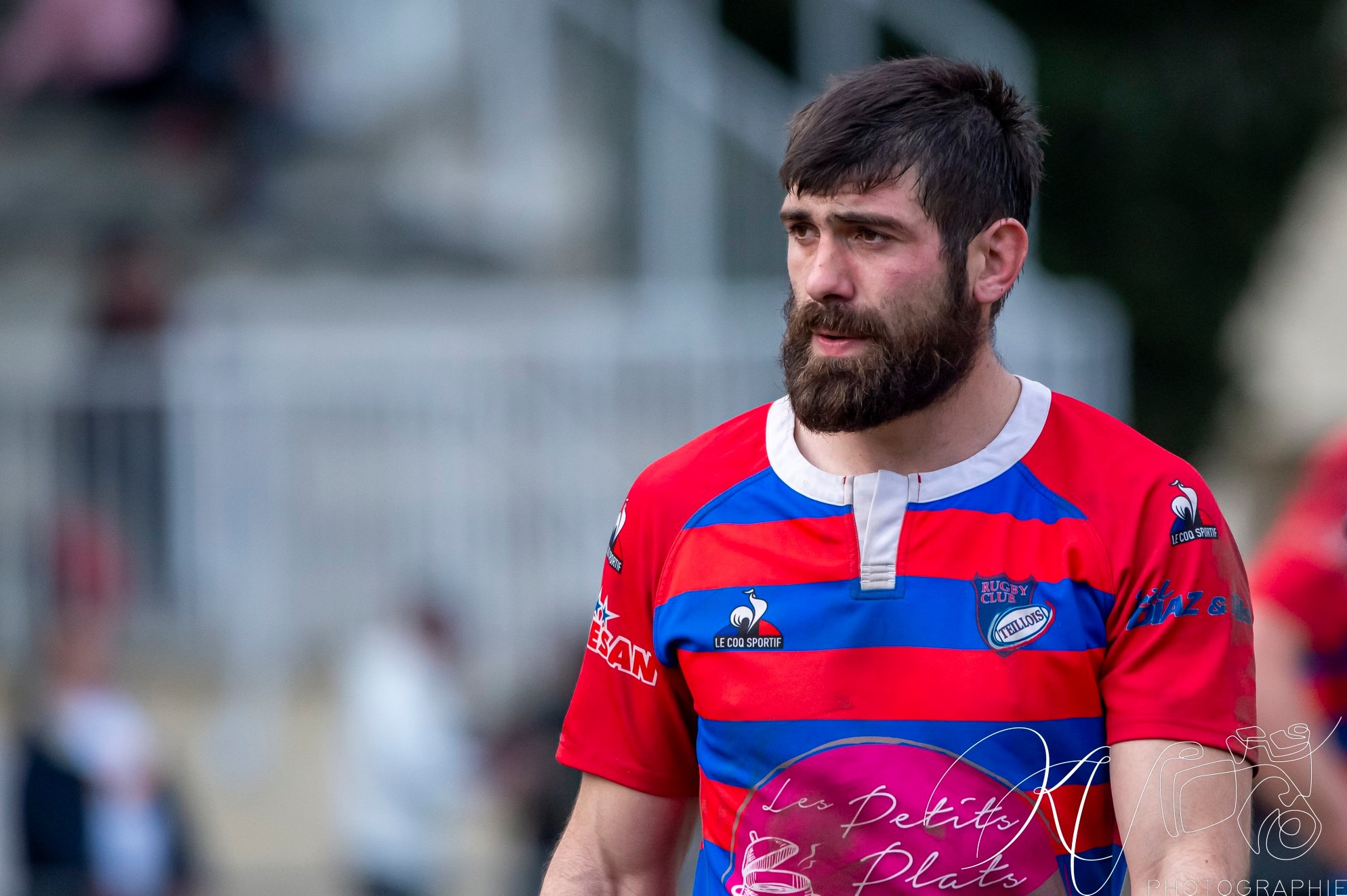  Rugby Club de Seyssins - Rugby Club Le Teil - Rugby - Fed3 2024 - RC de Seyssins vs RC Le Teil (#F324RCSRCLT02) Photo by: Karine Valentin | Siuxy Sports 2024-02-12