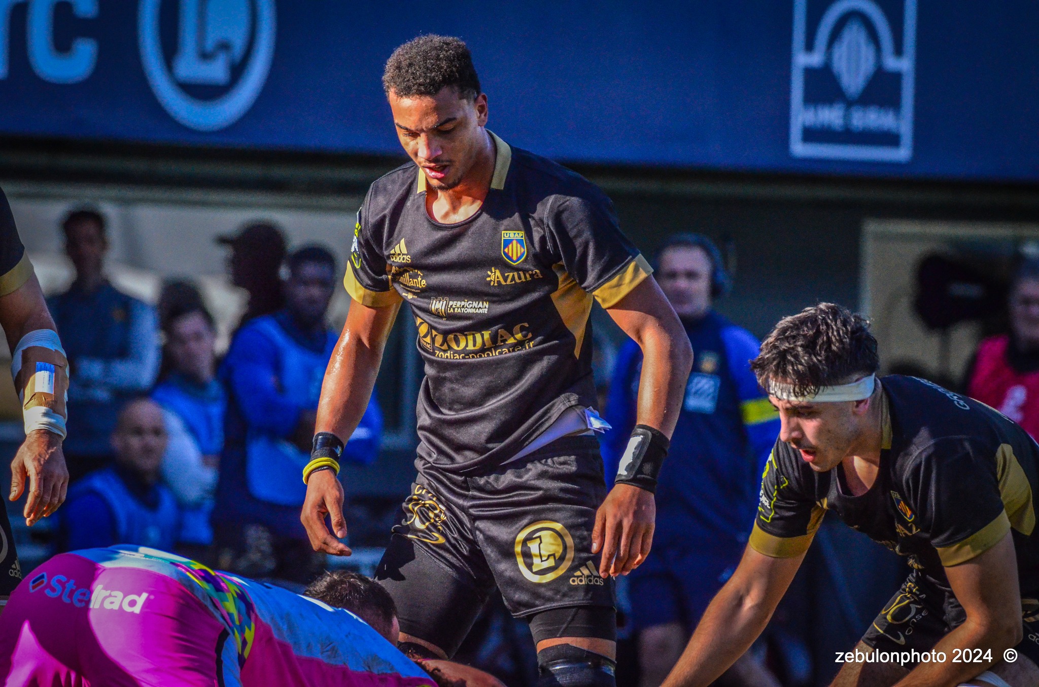  US Arlequins Perpignanais - Newcastle Falcons - Rugby - Challenge Cup - Perpignan (23) vs (32) Newcastle Falcons (#CC24USAPNF01) Photo by: Photo Zebulon | Siuxy Sports 2024-01-21